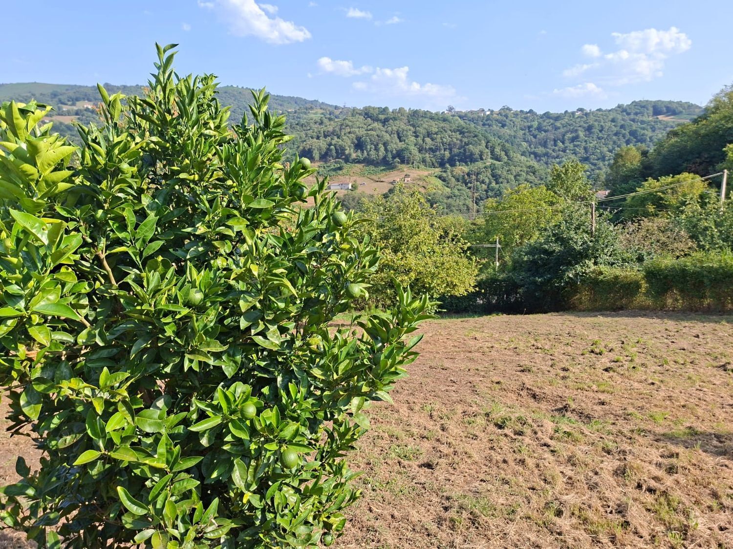 Fincas y solares-Venta-Langreo-1942388-Foto-20