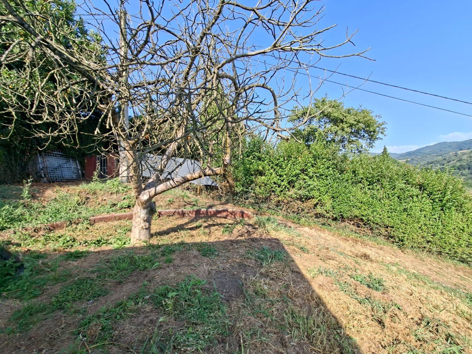 Fincas y solares-Venta-Langreo-1942388-Foto-19