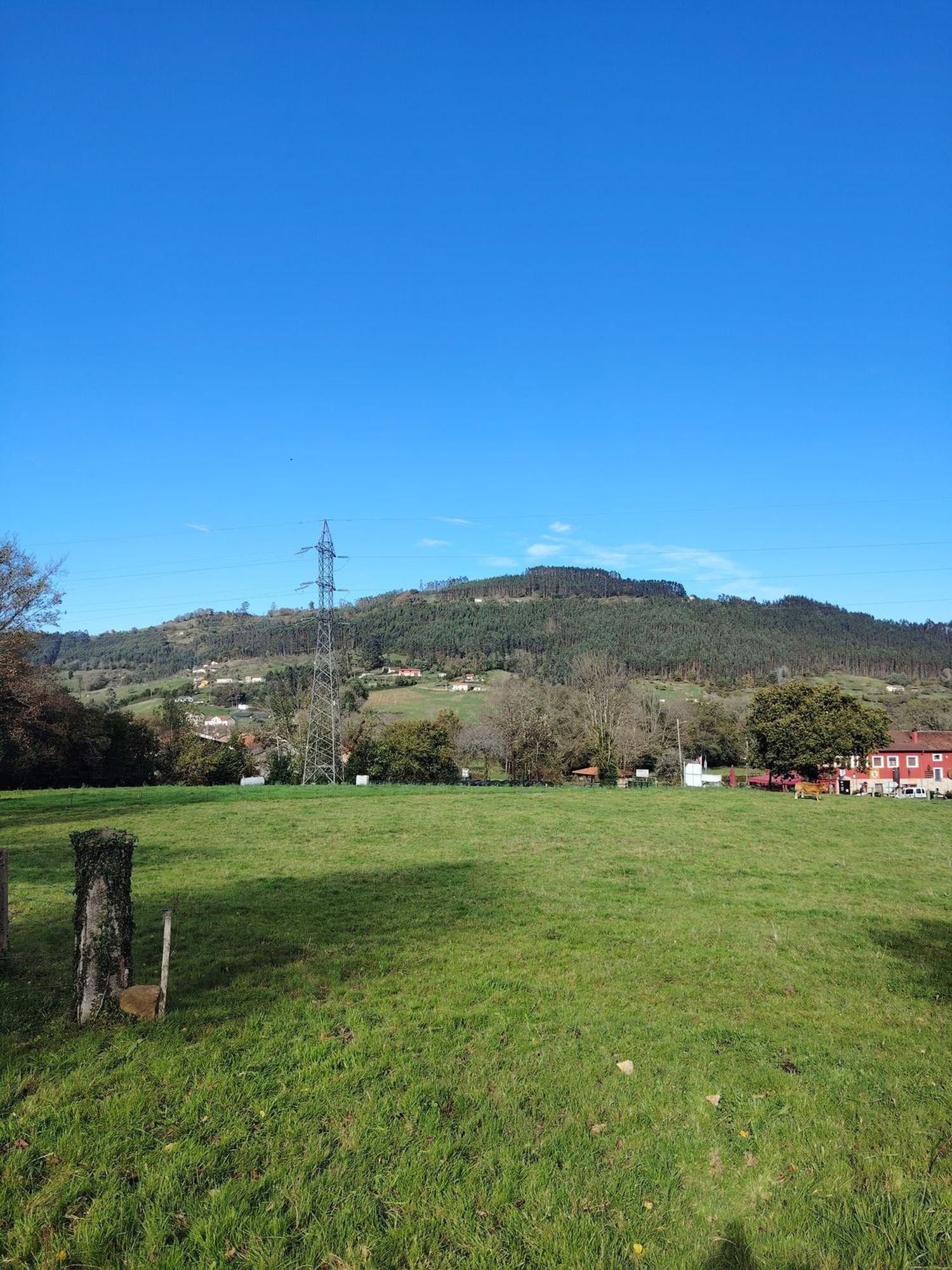 Fincas y solares-Venta-Villaviciosa-1974848-Foto-8