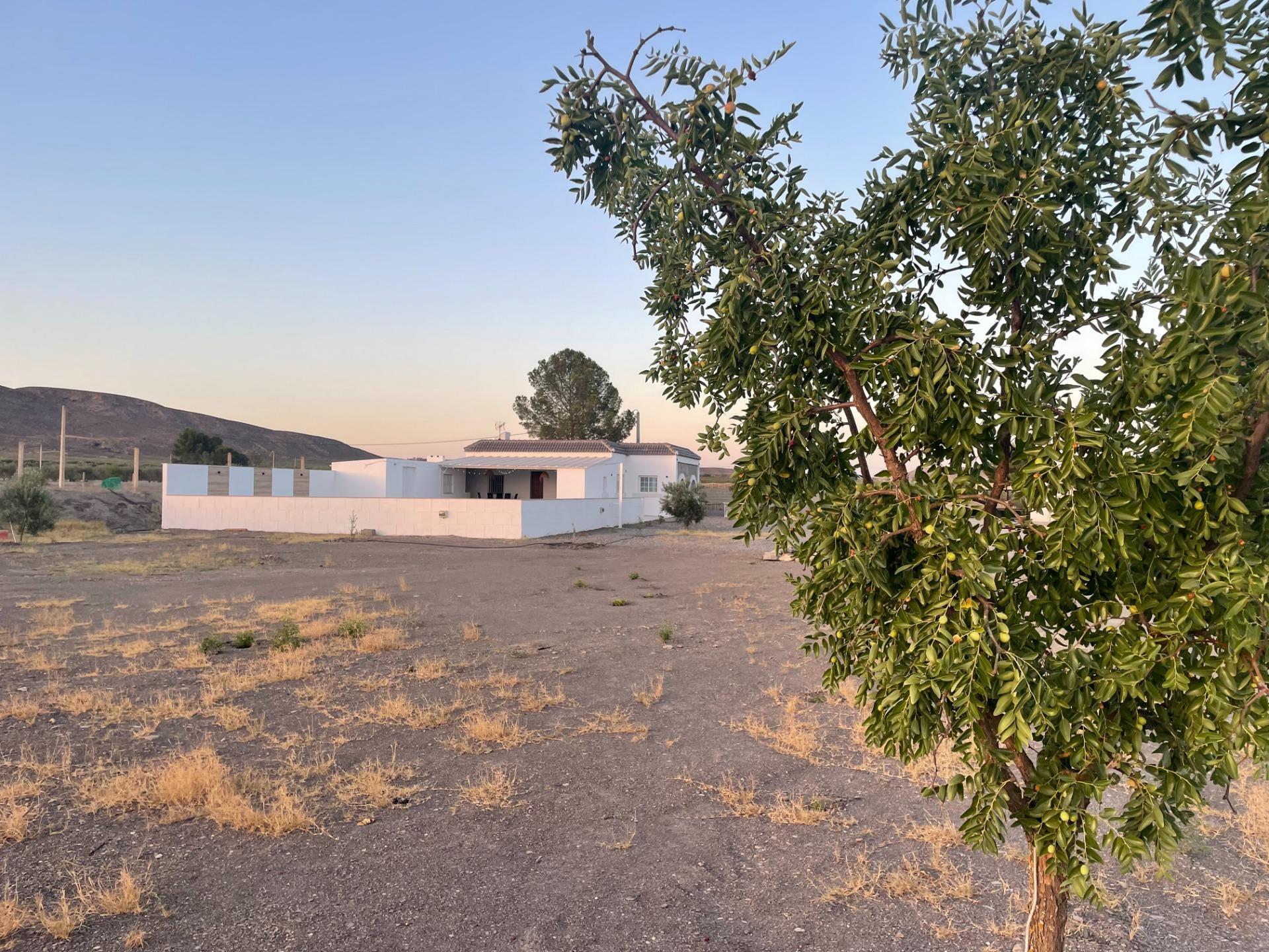 Pisos-Venta-Tabernas-1841816-Foto-33