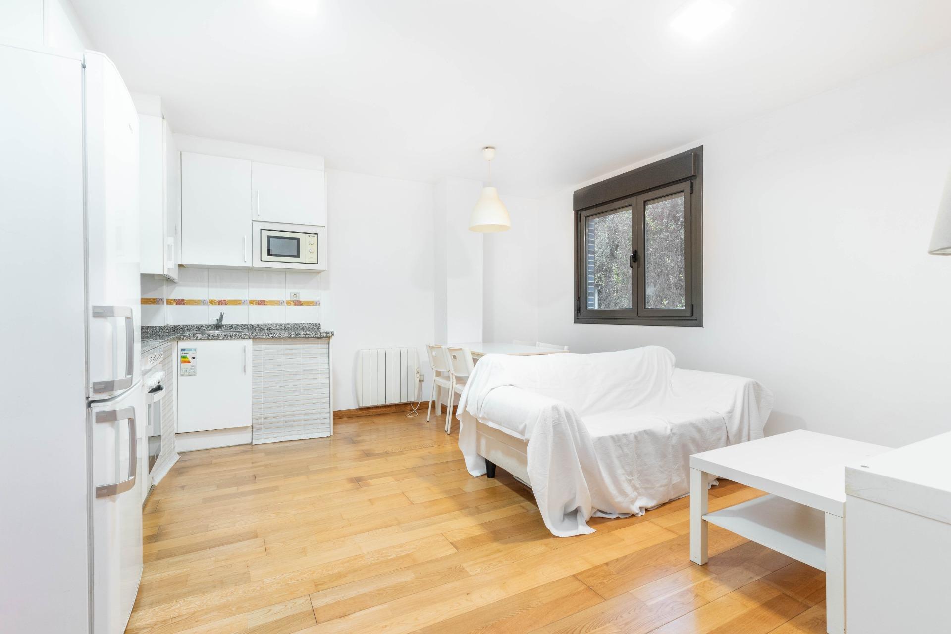 Pisos-Venta-Mieres-2019554-Foto-7