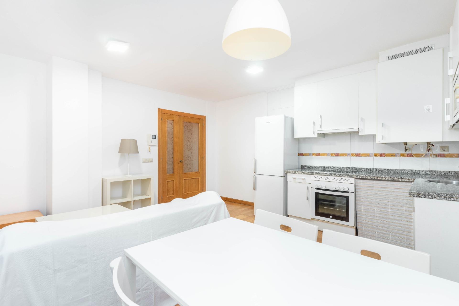 Pisos-Venta-Mieres-2019554-Foto-2