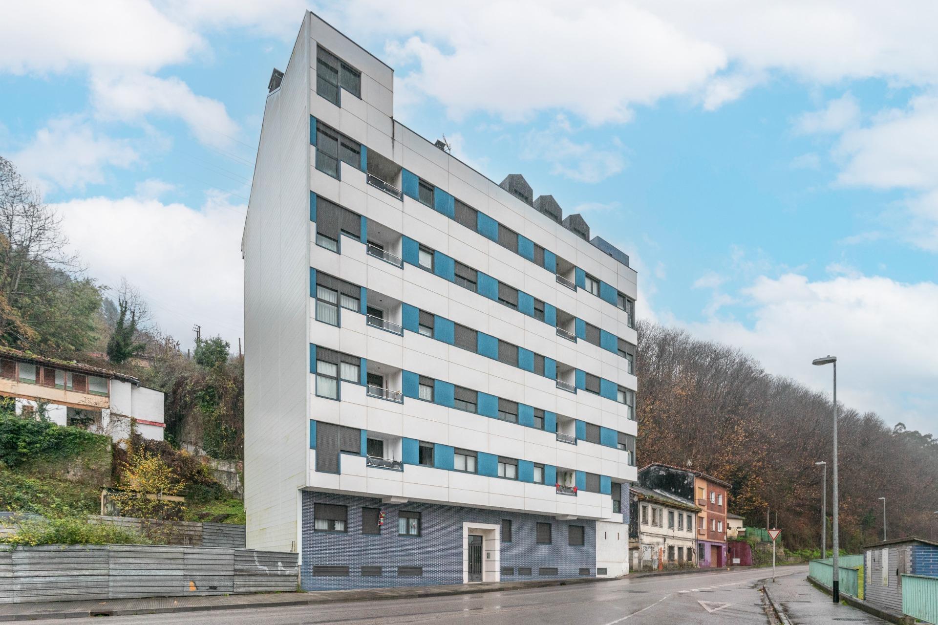 Pisos-Venta-Mieres-2019554-Foto-19