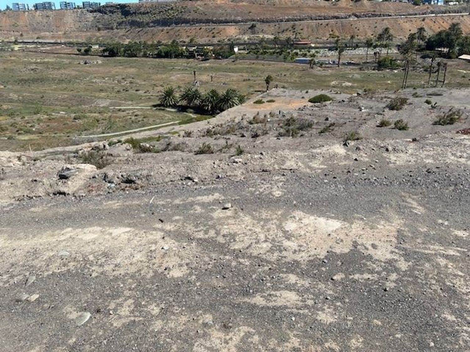 Fincas y solares-Venta-Telde-1743474-Foto-4