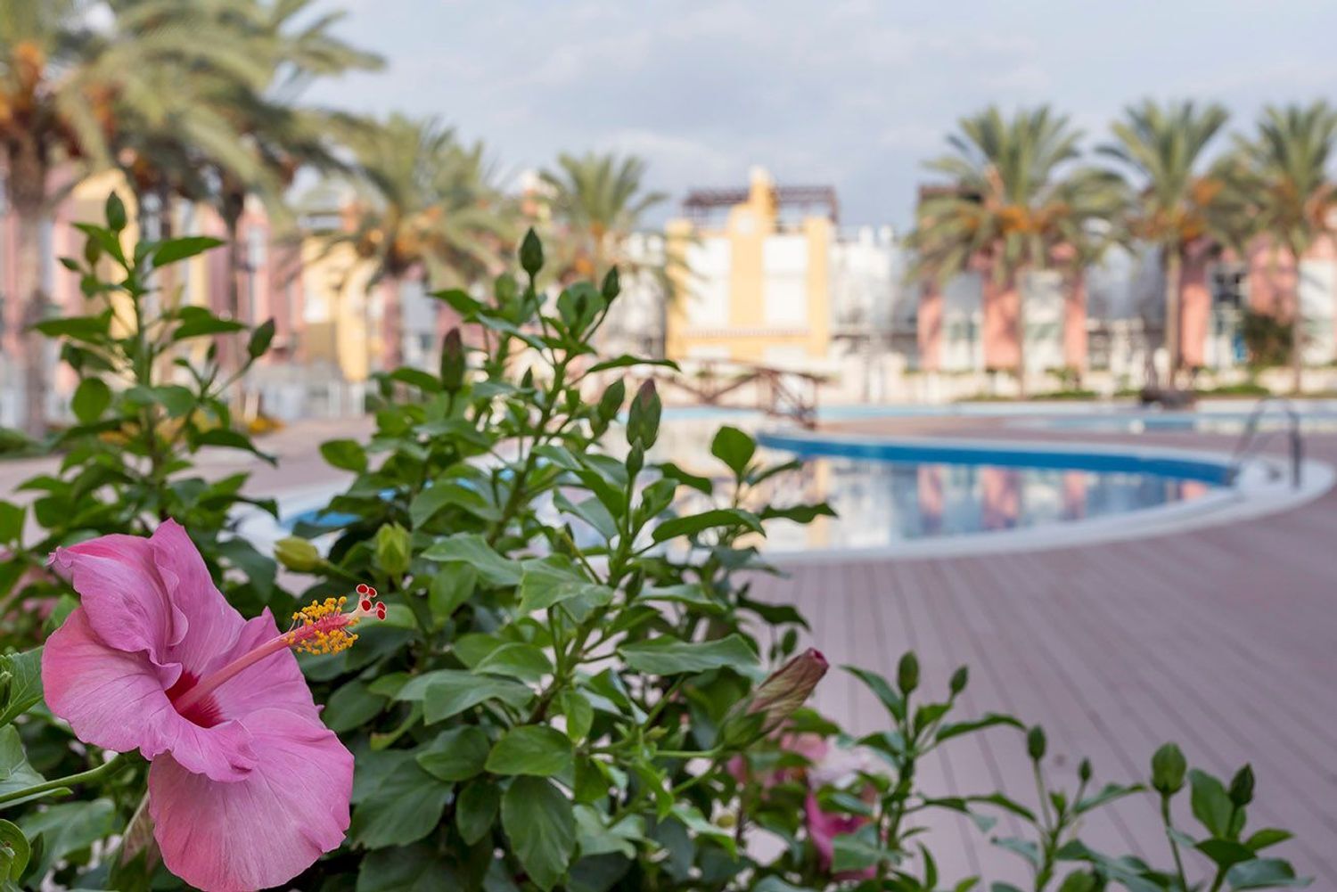 Pisos-Venta-HuÃ©rcal-Overa-2086153-Foto-31