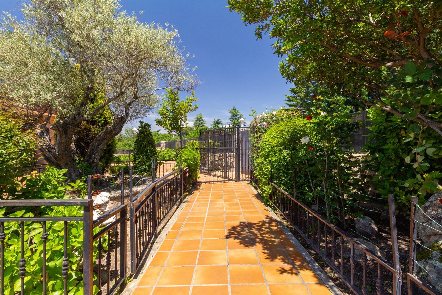 Casas o chalets-Venta-Colmenarejo-1791710-Foto-71