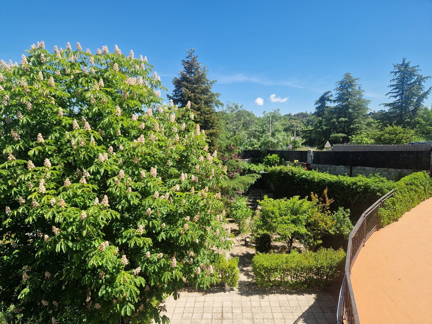 Casas o chalets-Venta-Colmenarejo-1791710-Foto-80