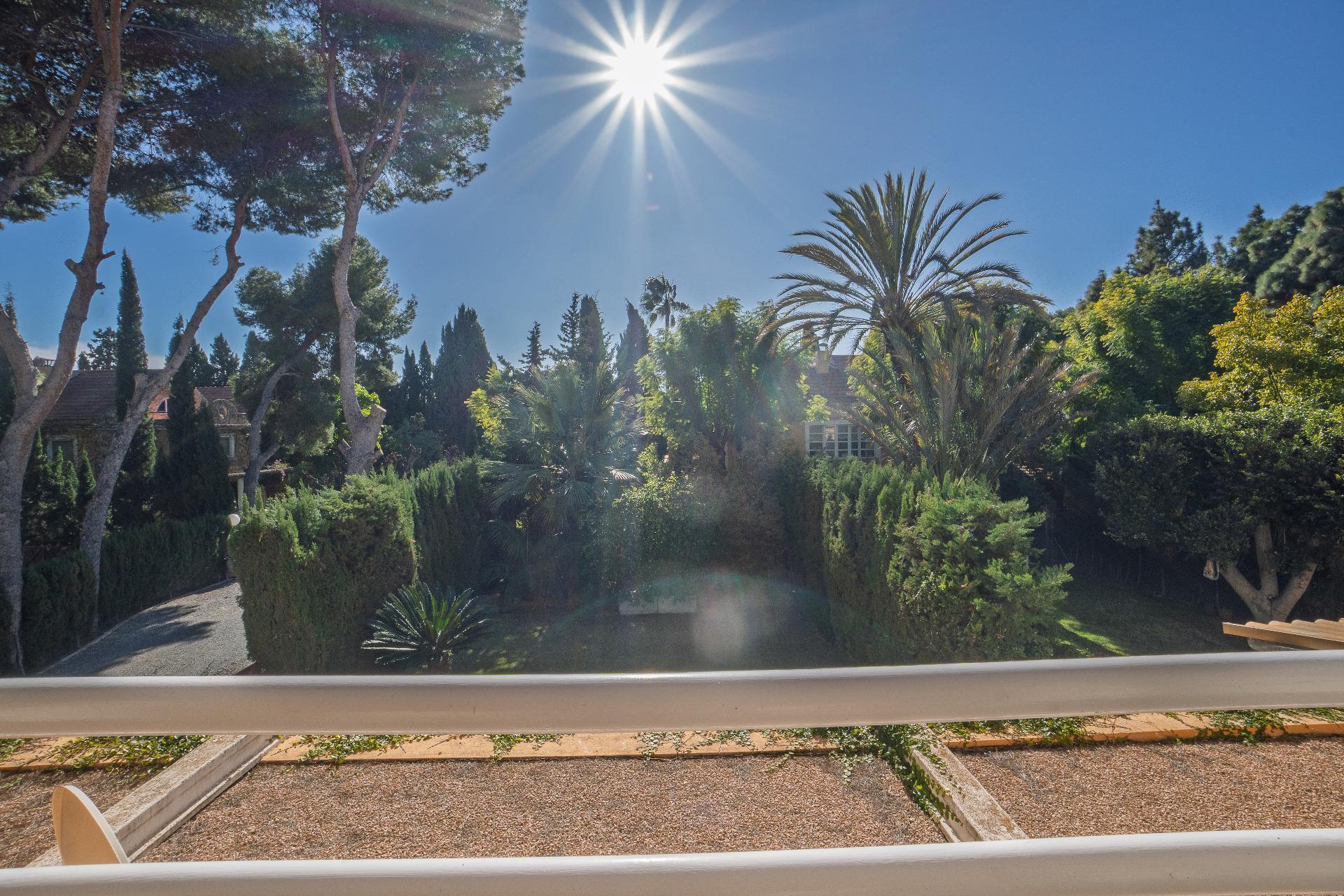 Casas o chalets-Venta-Alicante-2086174-Foto-43