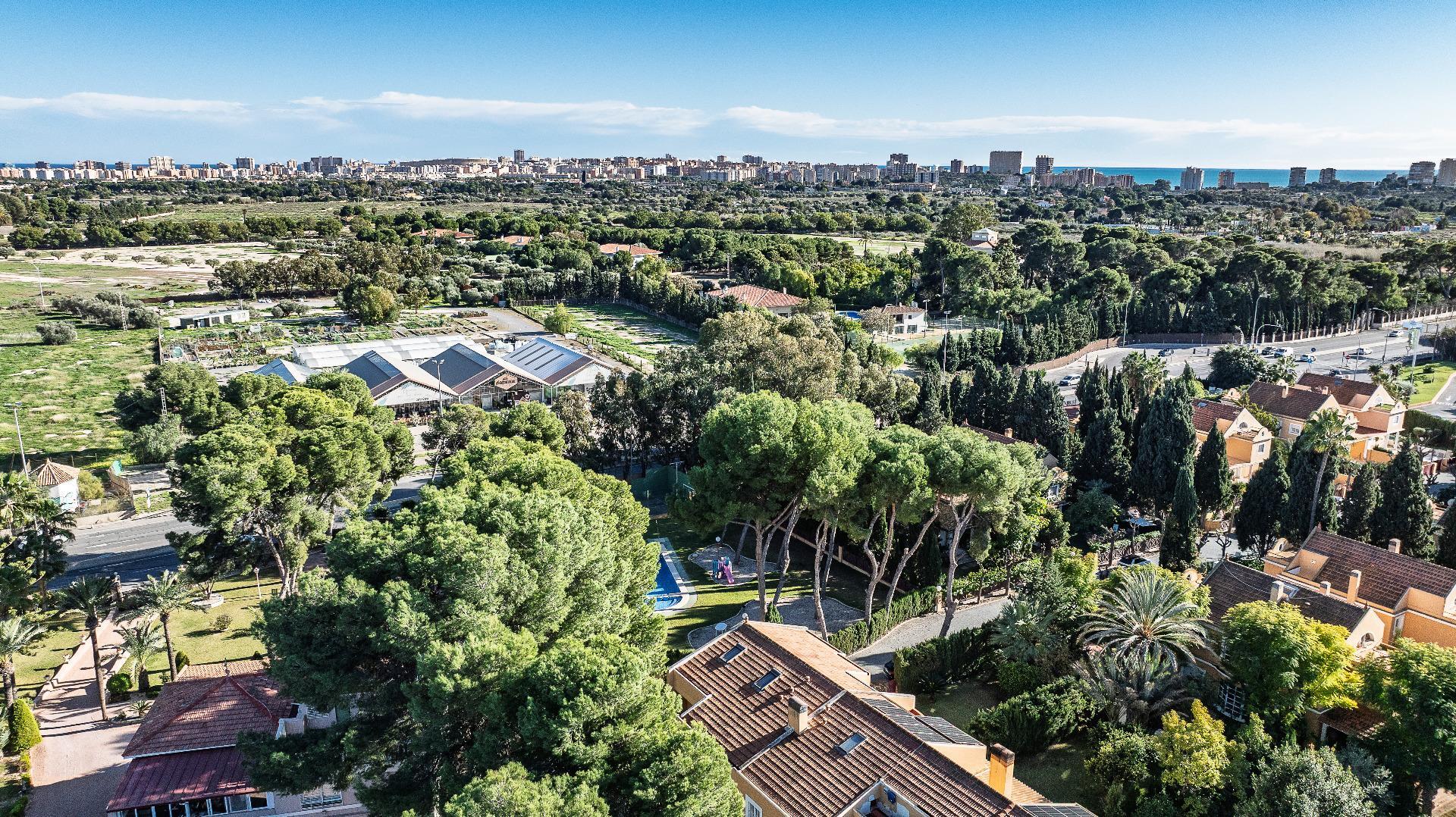 Casas o chalets-Venta-Alicante-2086174-Foto-63