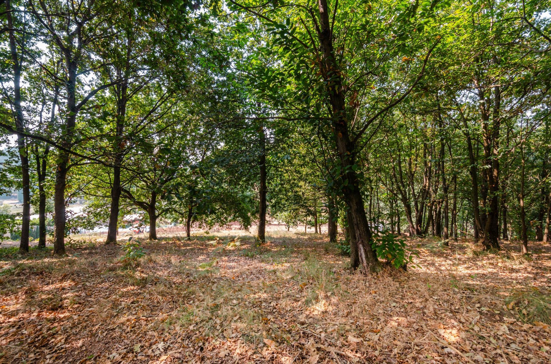 Fincas y solares-Venta-Las Regueras-1838063-Foto-5