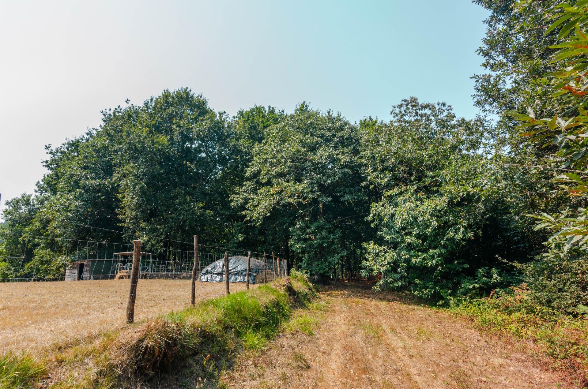 Fincas y solares-Venta-Las Regueras-1838063-Foto-8