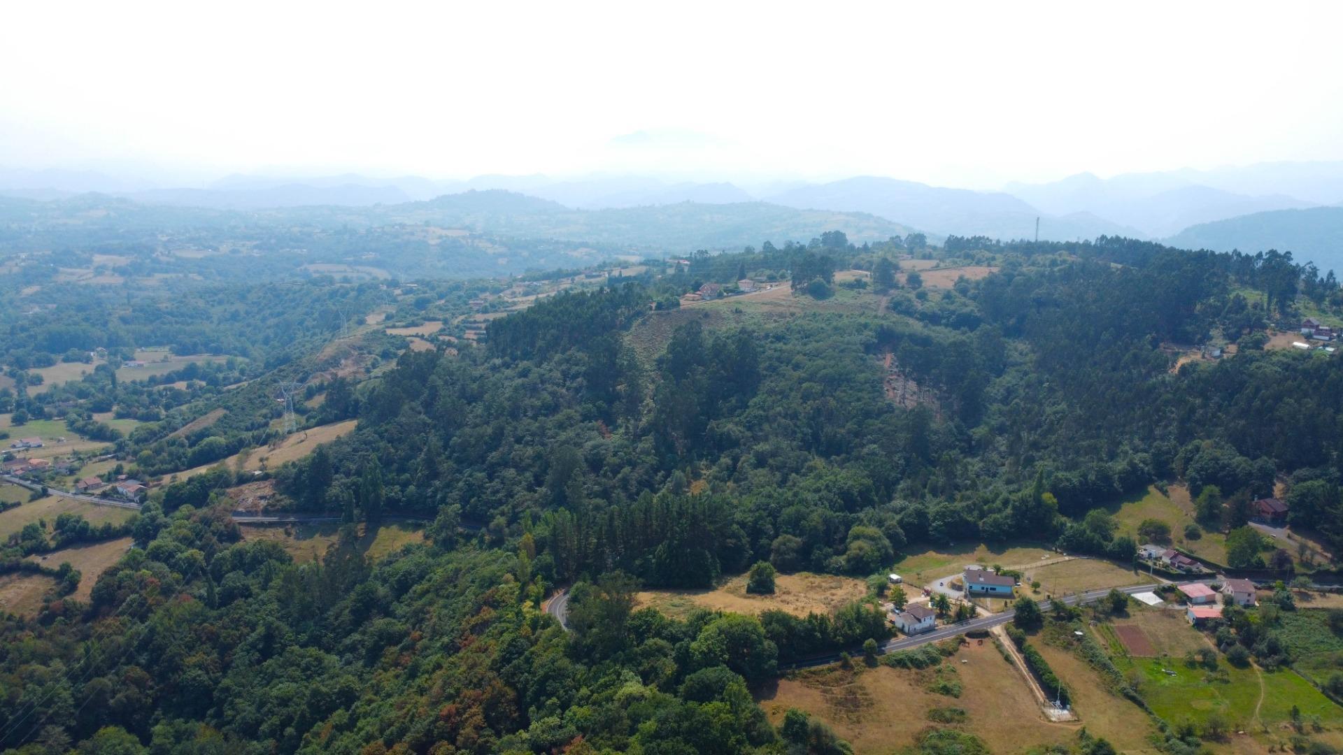 Fincas y solares-Venta-Las Regueras-1838063-Foto-21