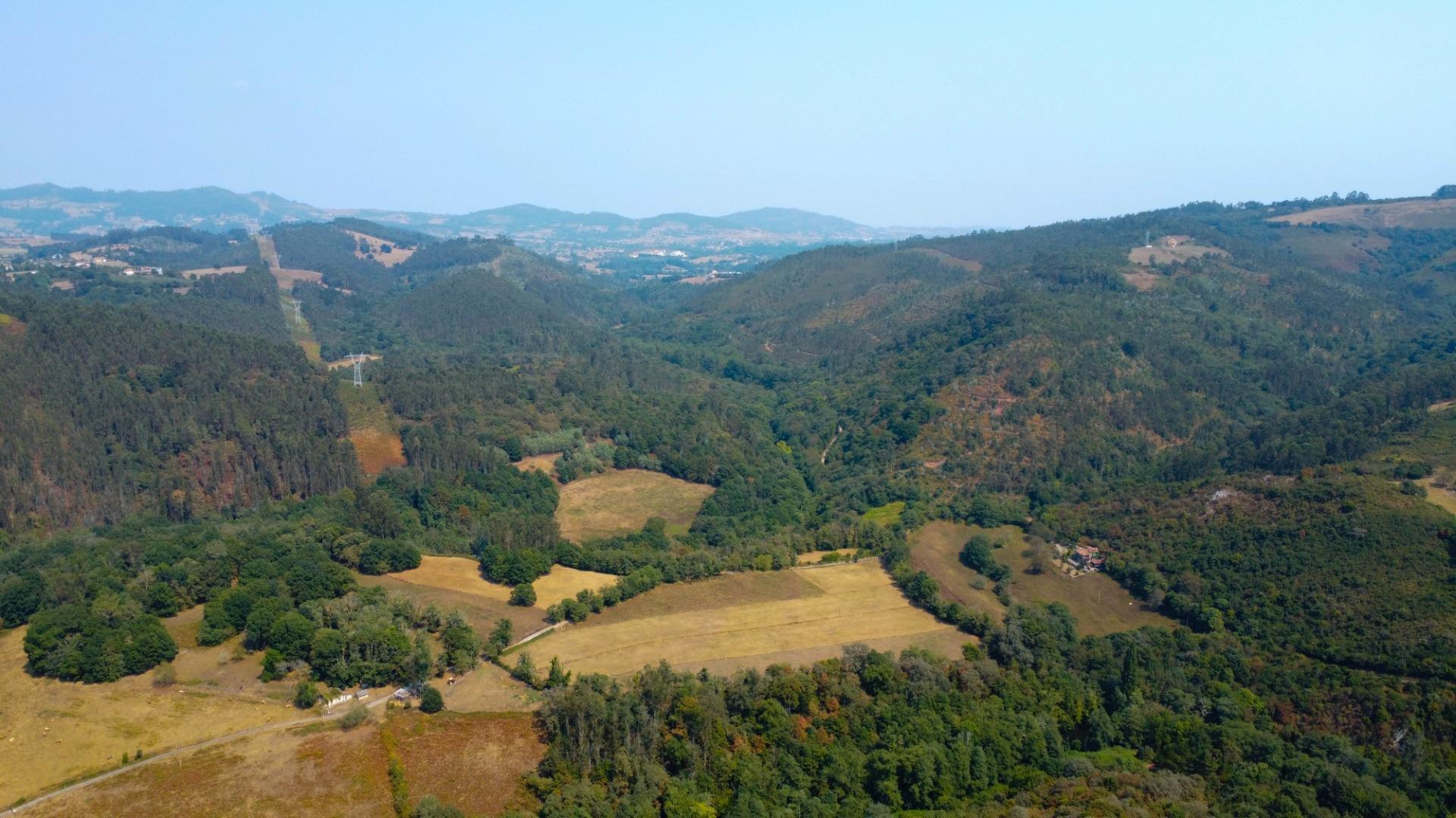 Fincas y solares-Venta-Las Regueras-1838063-Foto-25