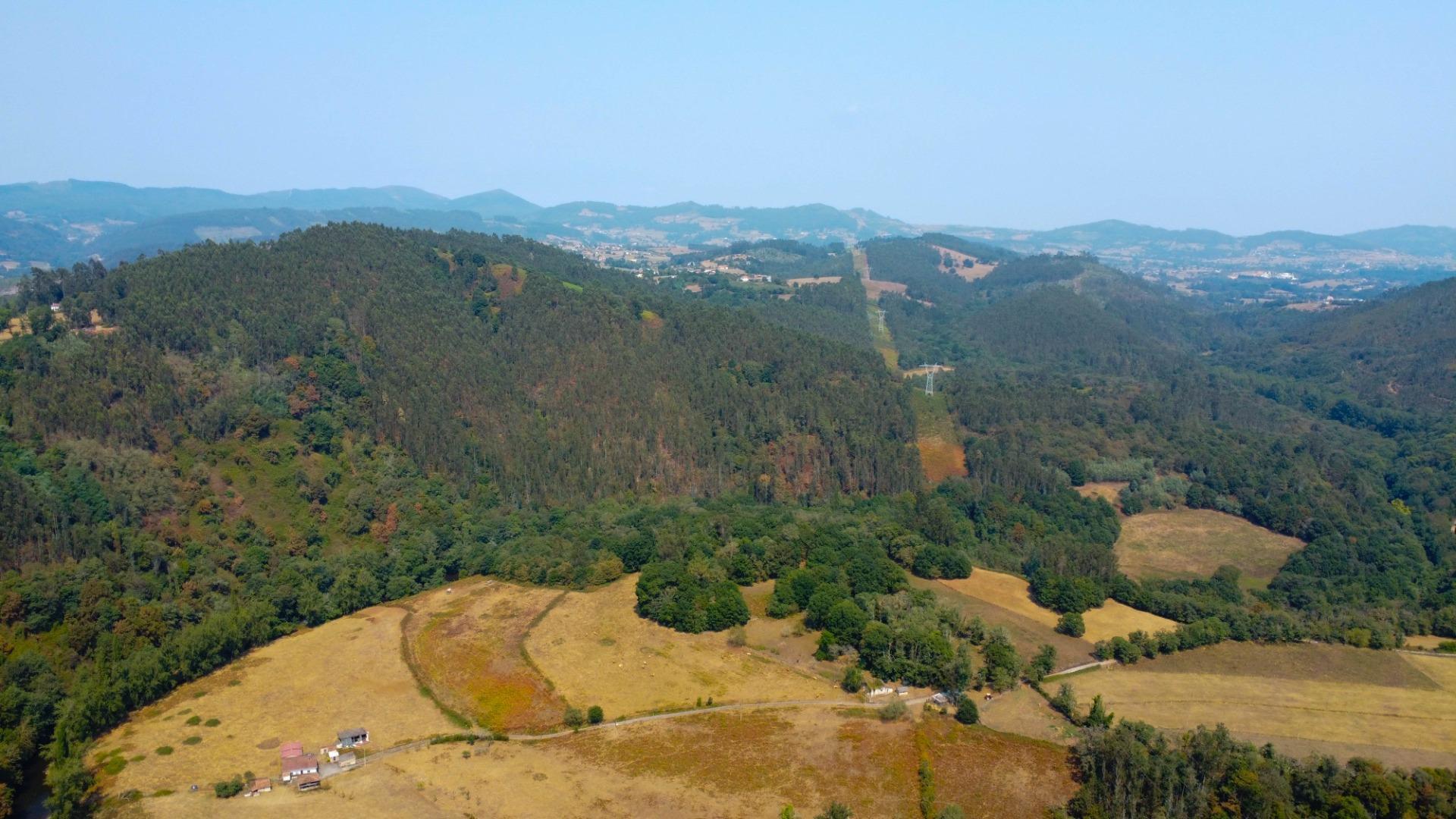 Fincas y solares-Venta-Las Regueras-1838063-Foto-26