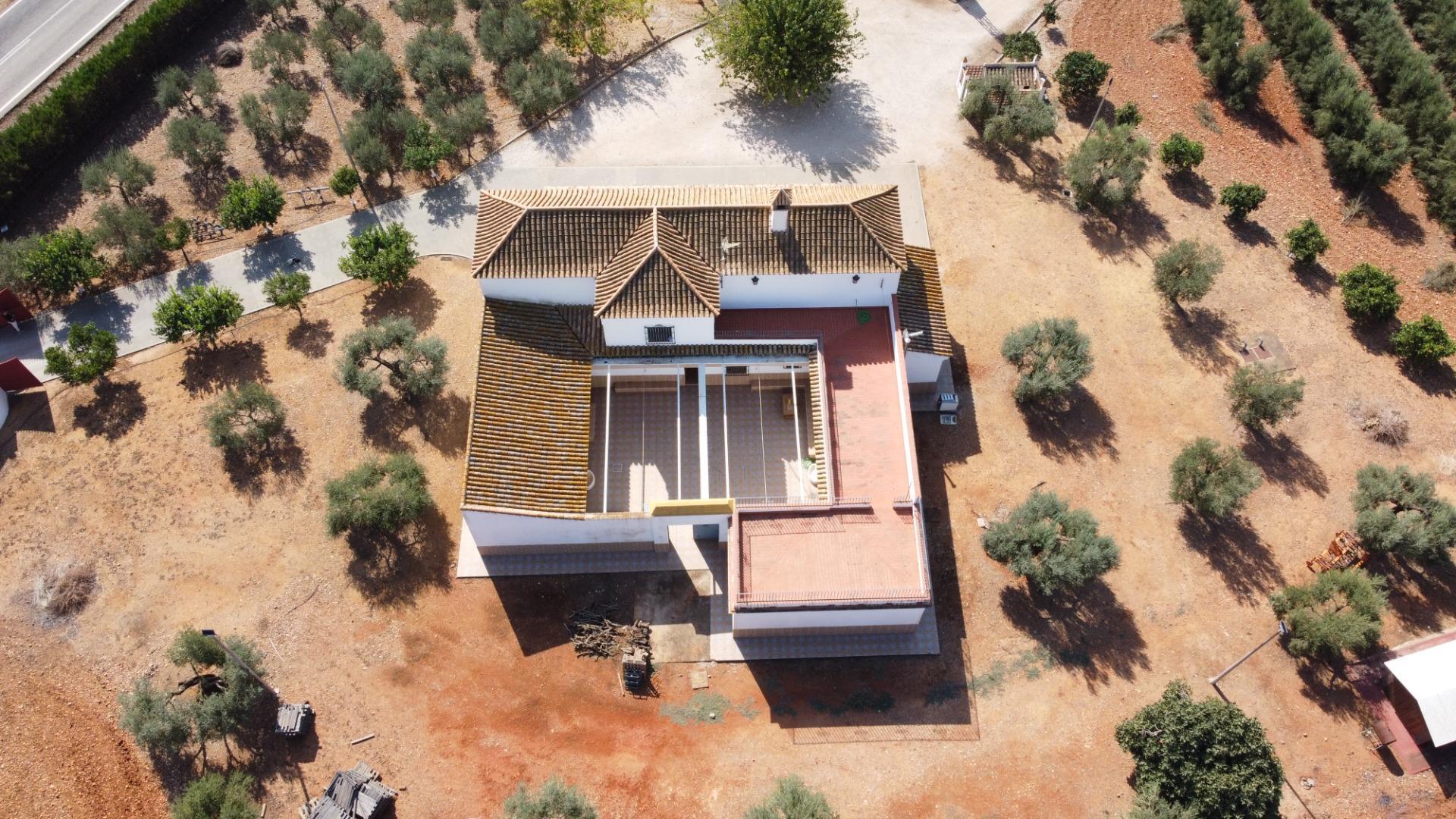 Pisos-Venta-Carmona-1976163-Foto-3