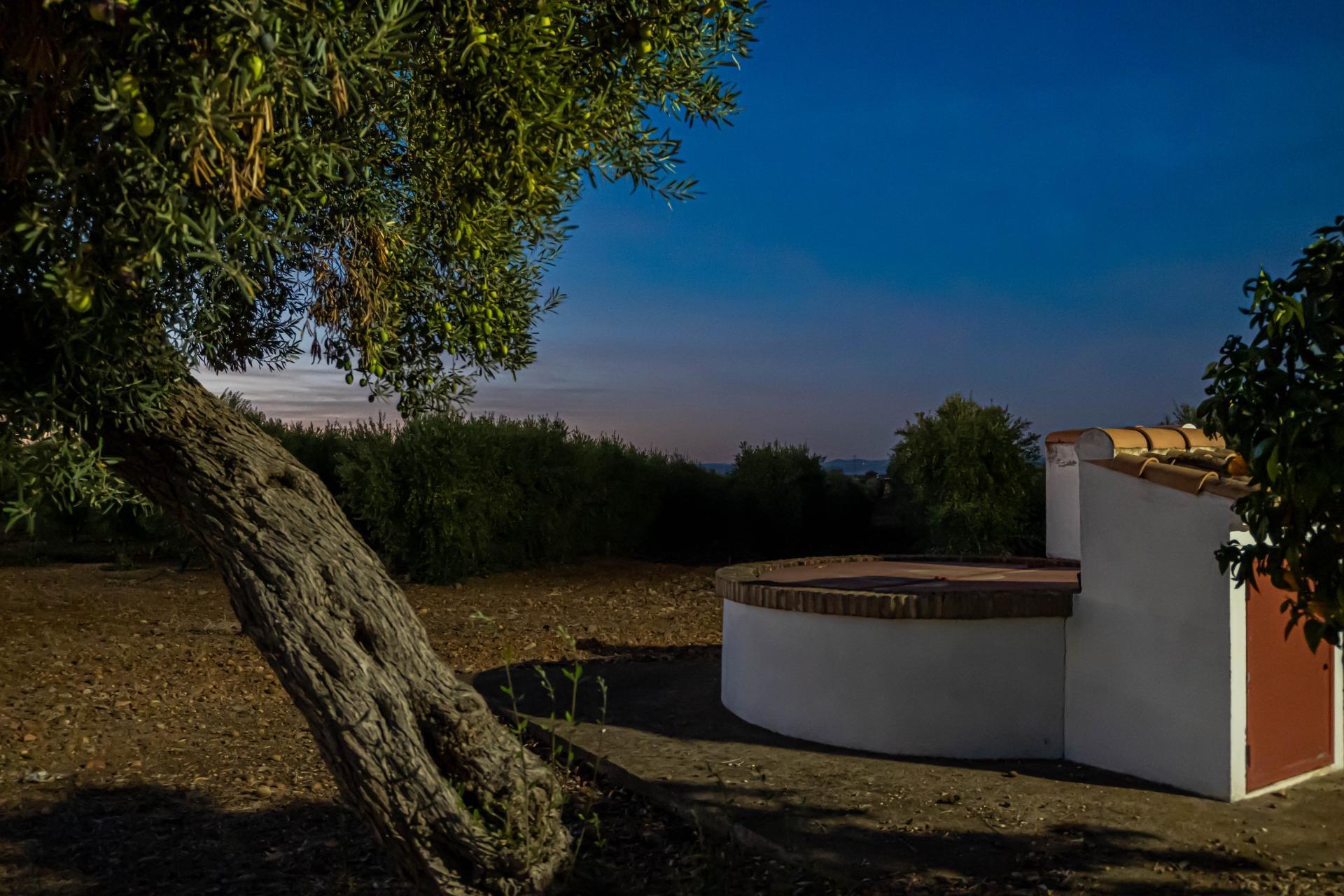 Pisos-Venta-Carmona-1976163-Foto-7