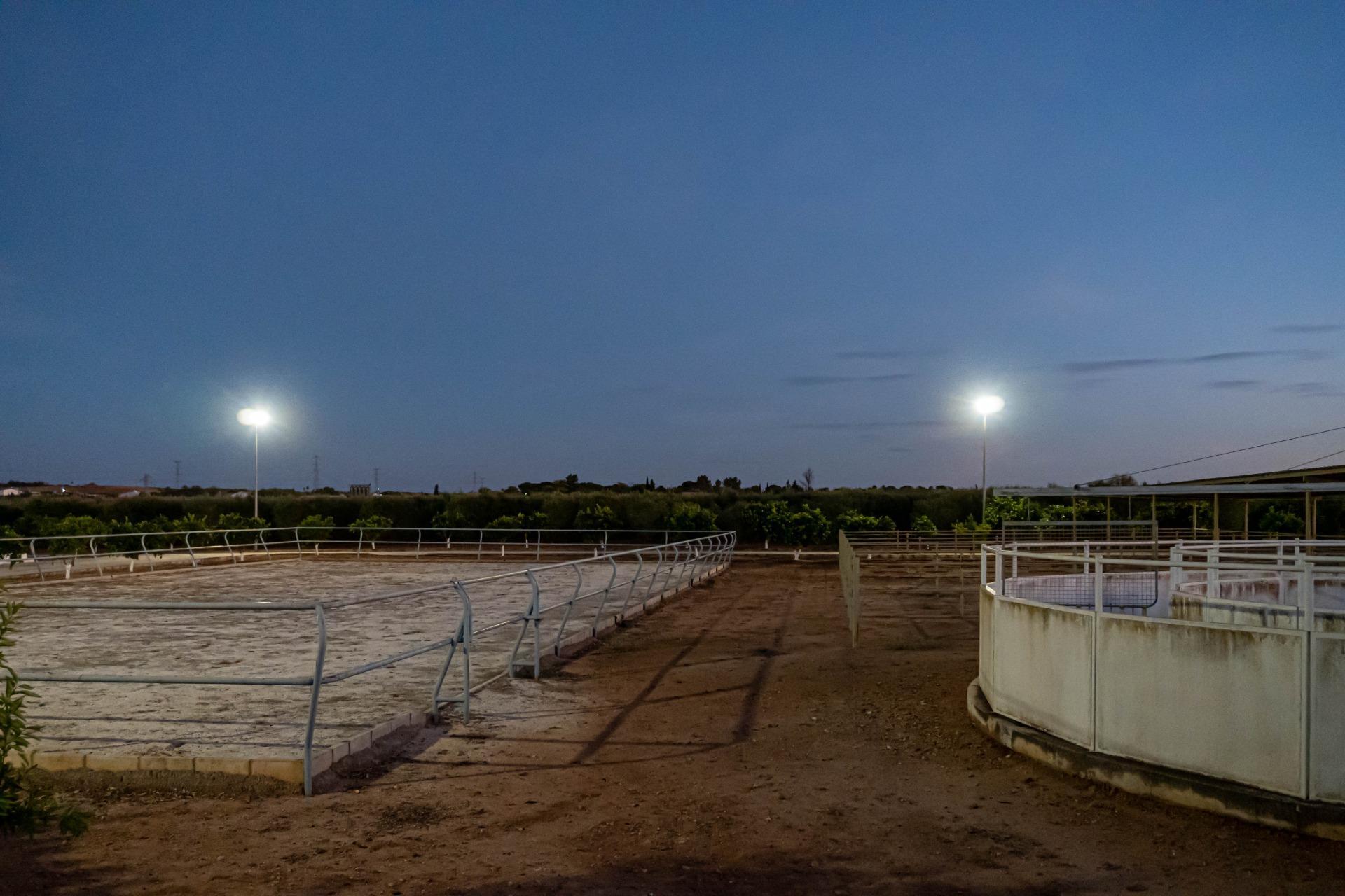 Pisos-Venta-Carmona-1976163-Foto-57