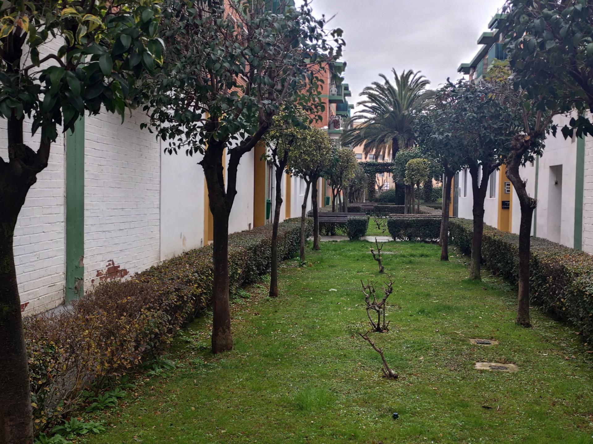 Pisos-Alquiler-Zaragoza-2086517-Foto-33