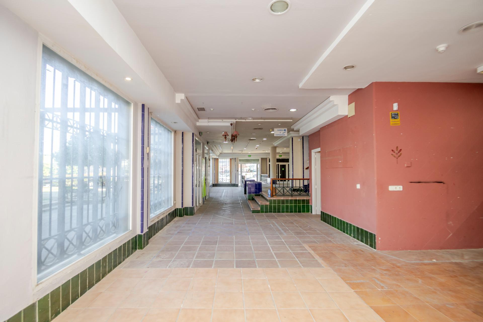 Edificios-Venta-Mairena del Aljarafe-1995222-Foto-5