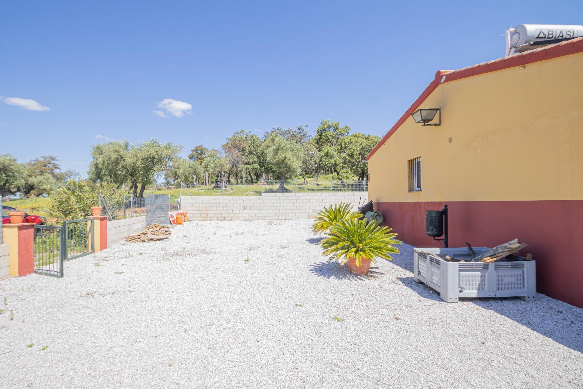 Fincas y solares-Venta-El Pedroso-1724744-Foto-32