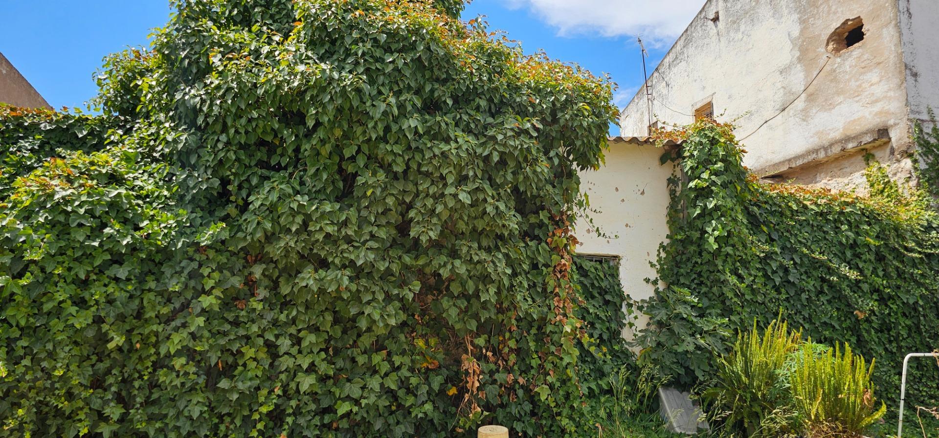 Casas o chalets-Venta-La Algaba-1975514-Foto-18