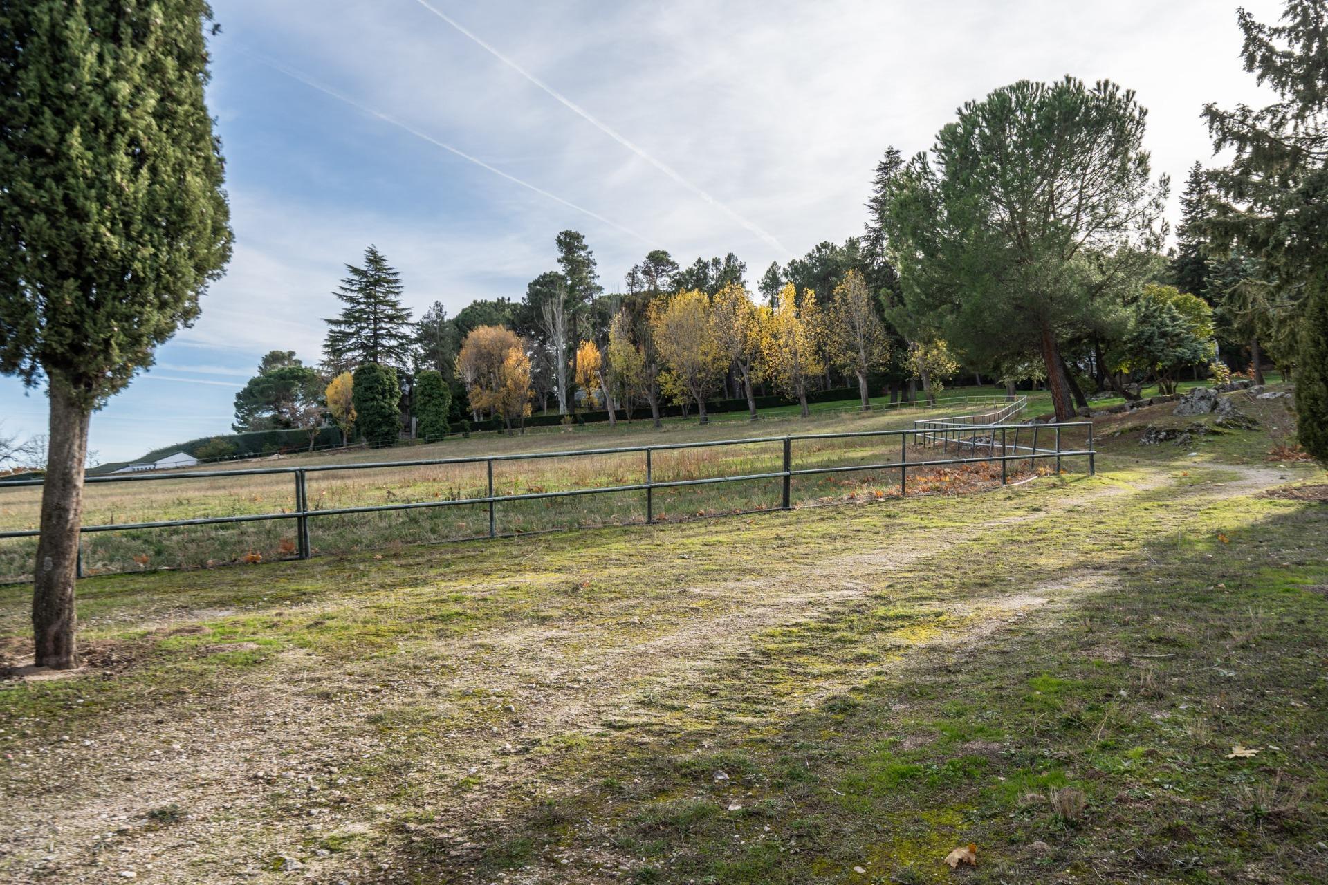 Pisos-Venta-Guadarrama-2015704-Foto-98