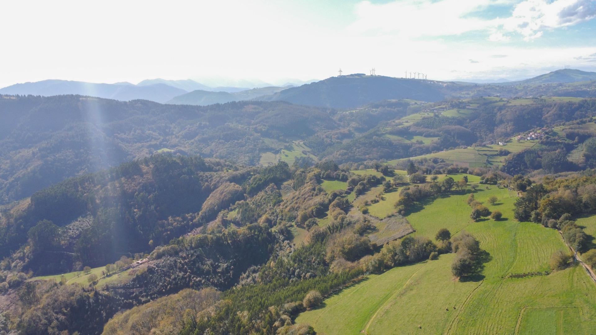 Casas o chalets-Venta-Salas-1974896-Foto-40