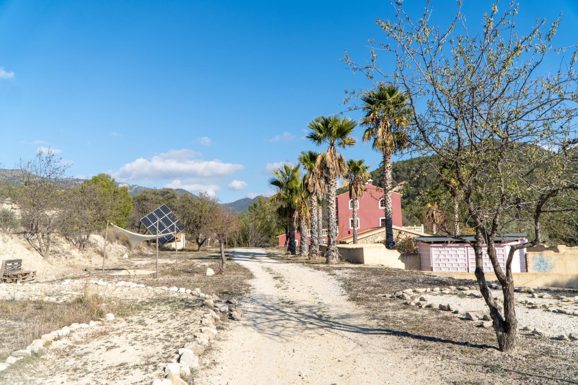 Pisos-Venta-Jijona-Xixona-2031923-Foto-7