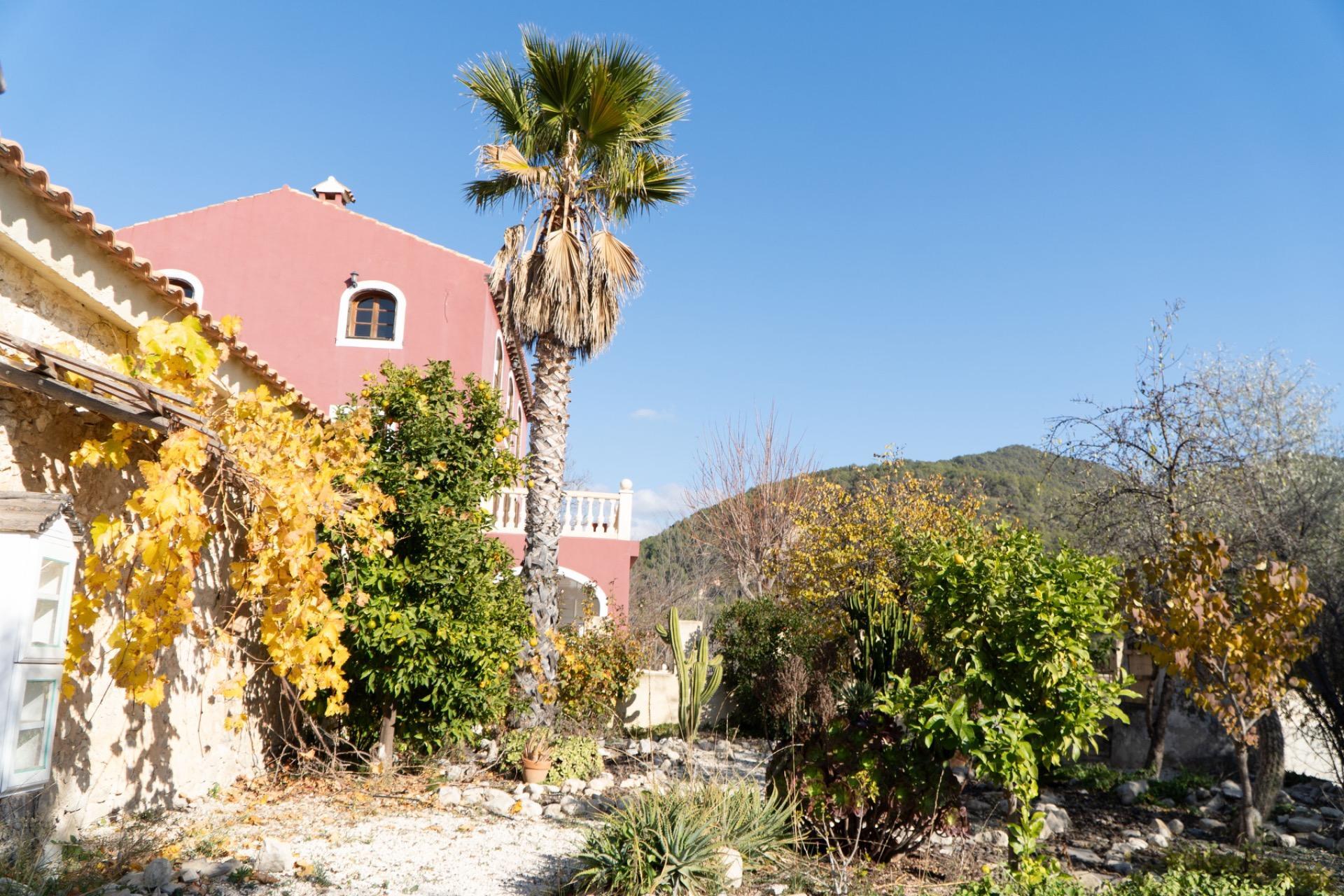 Pisos-Venta-Jijona-Xixona-2031923-Foto-40