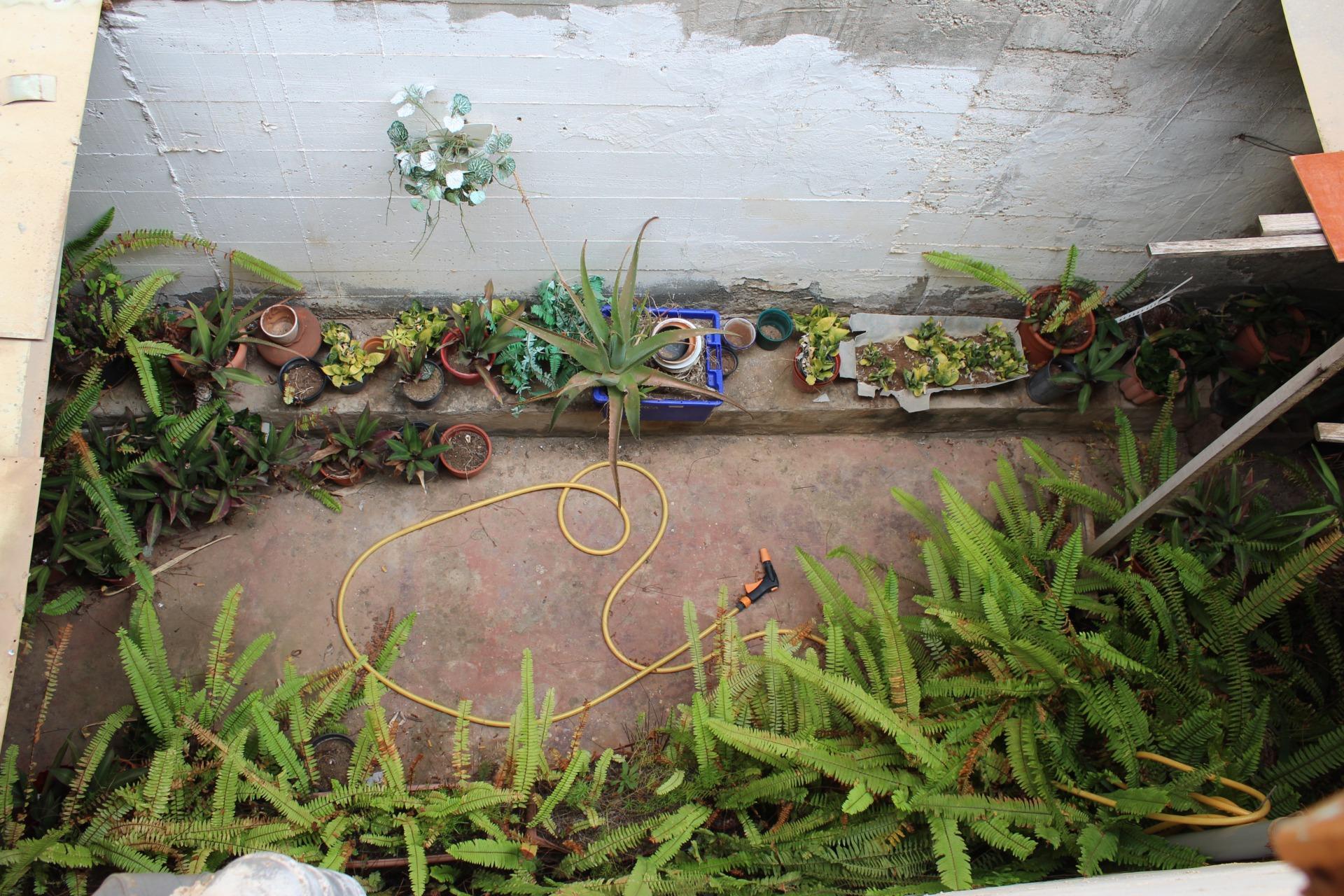 Casas o chalets-Venta-Santa MarÃ­a de GuÃ­a de Gran Canaria-2086554-Foto-16