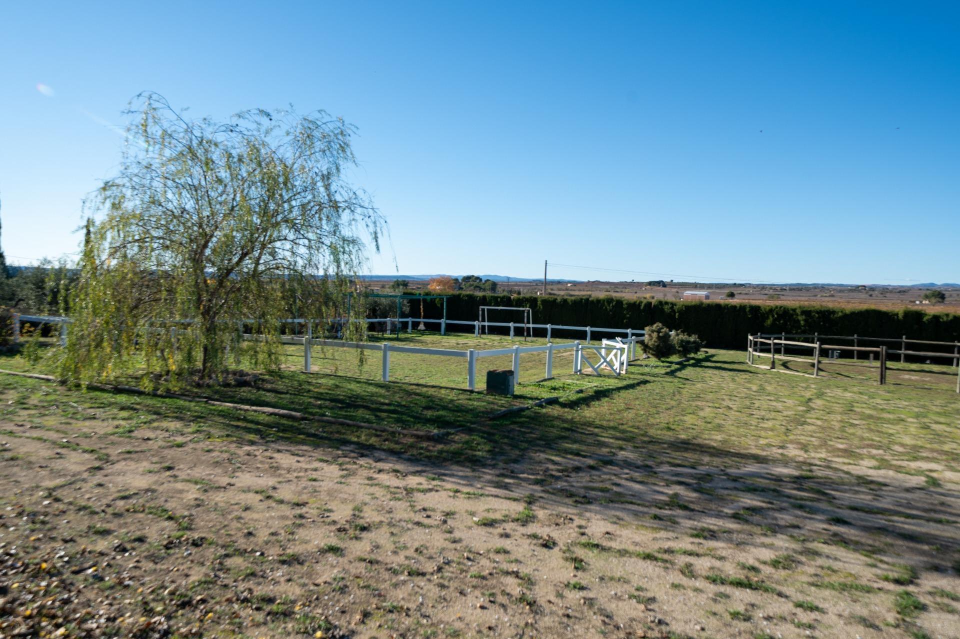 Casas o chalets-Venta-Requena-2009533-Foto-34
