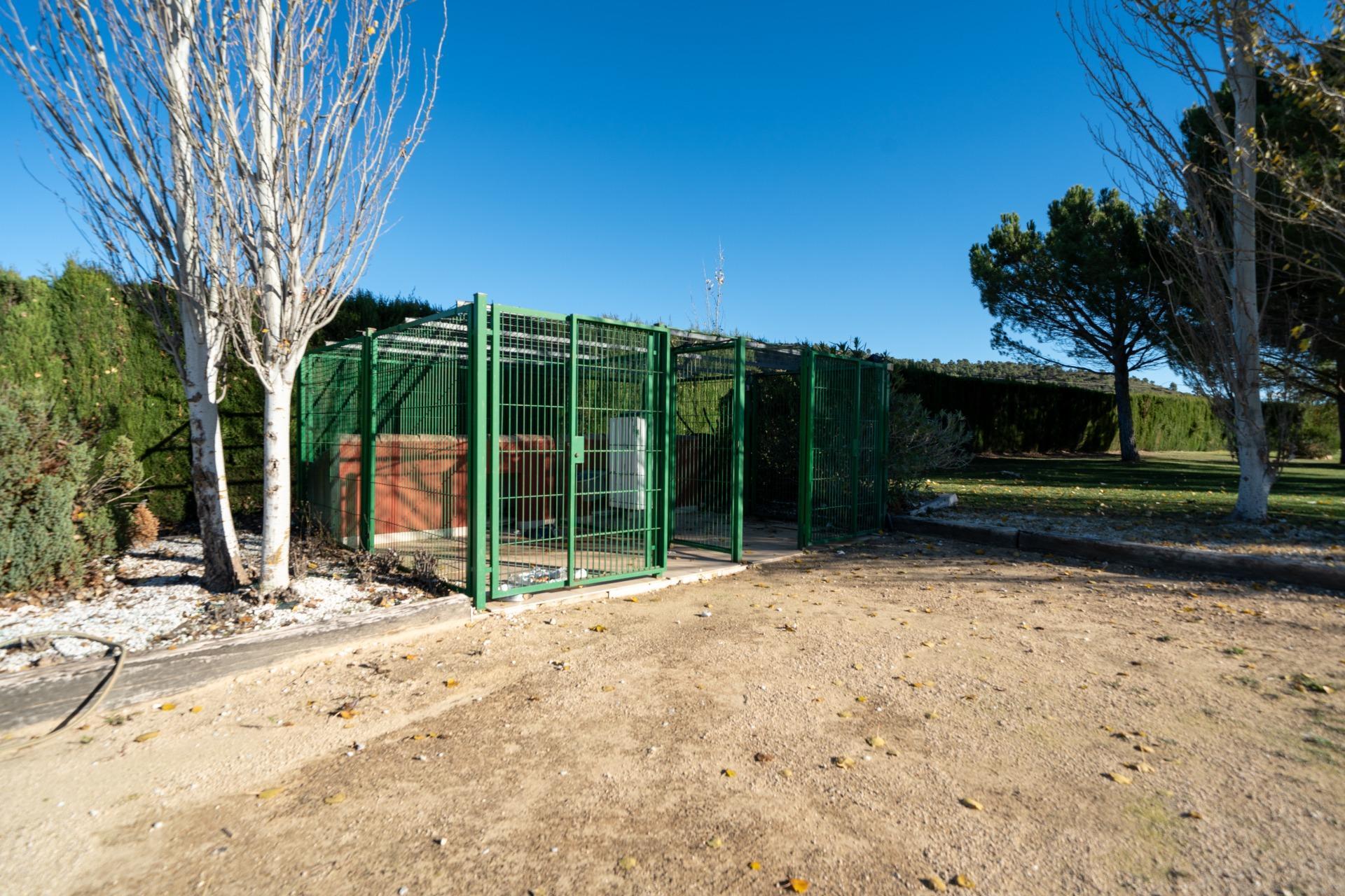 Casas o chalets-Venta-Requena-2009533-Foto-33