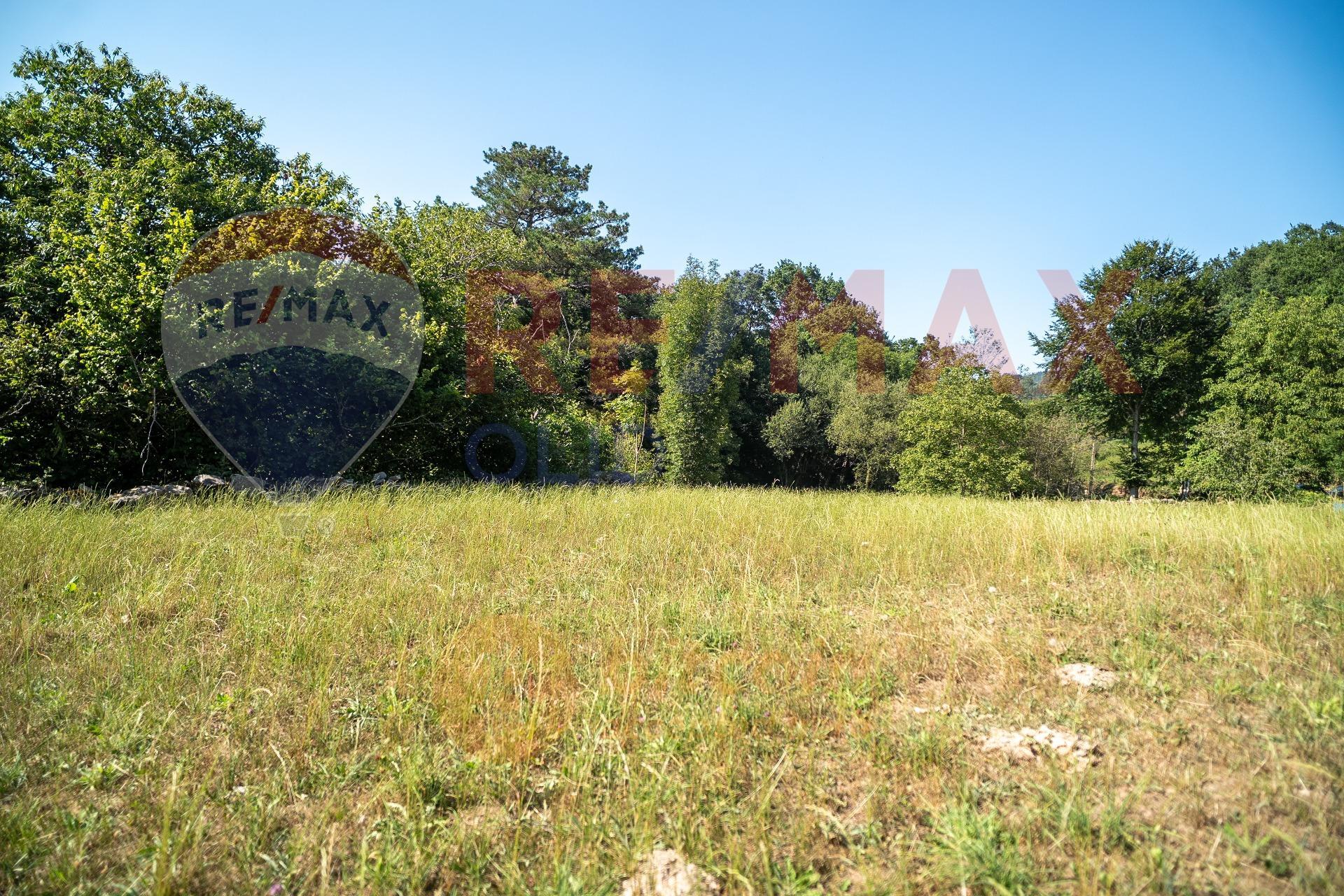 Casas o chalets-Venta-Luena-1833810-Foto-50