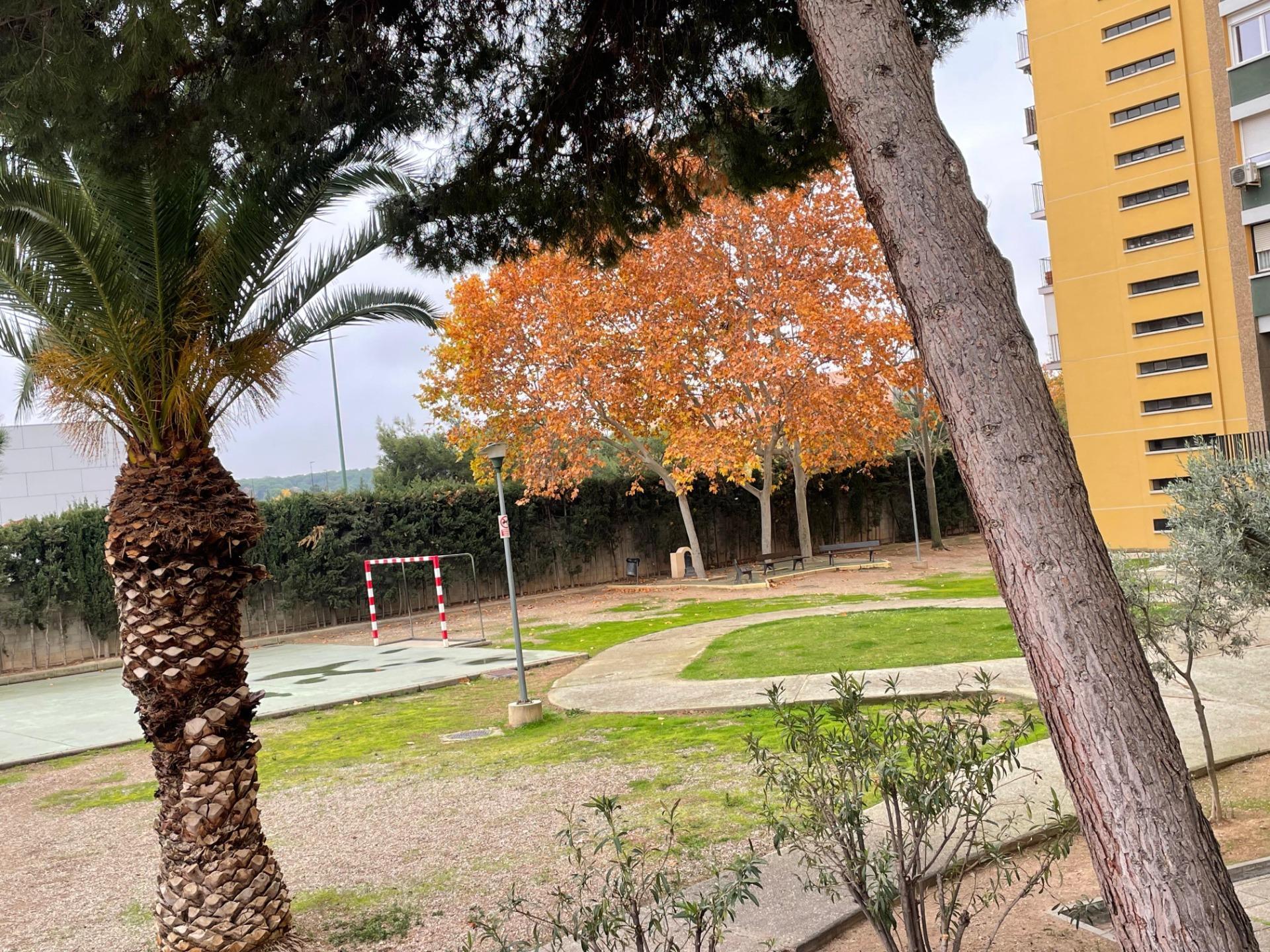 Pisos-Venta-Zaragoza-2031414-Foto-38