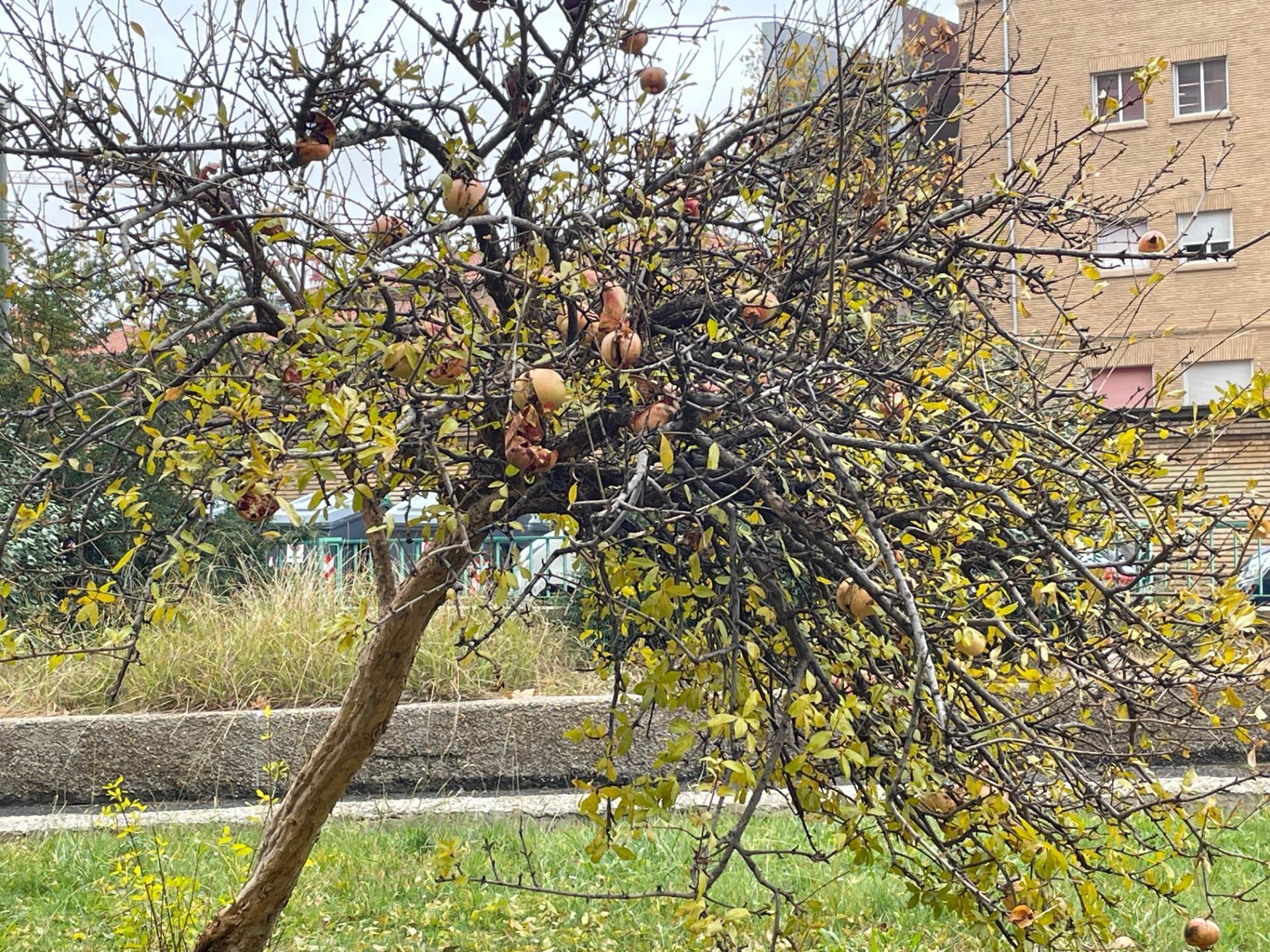 Pisos-Venta-Zaragoza-2031414-Foto-39