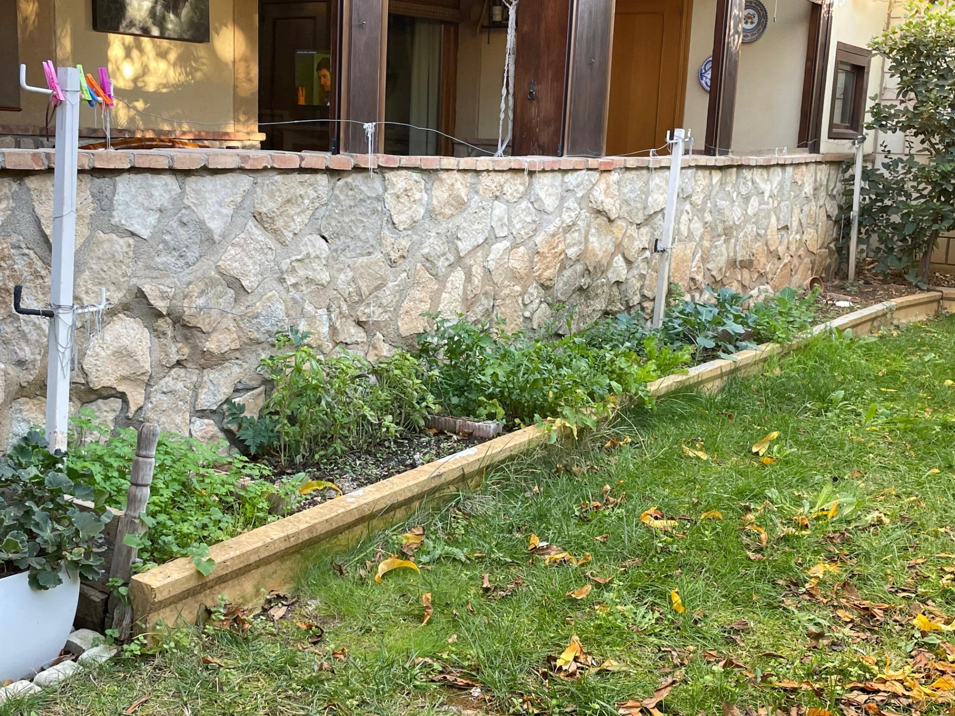 Casas o chalets-Venta-Ejea de los Caballeros-2011046-Foto-43