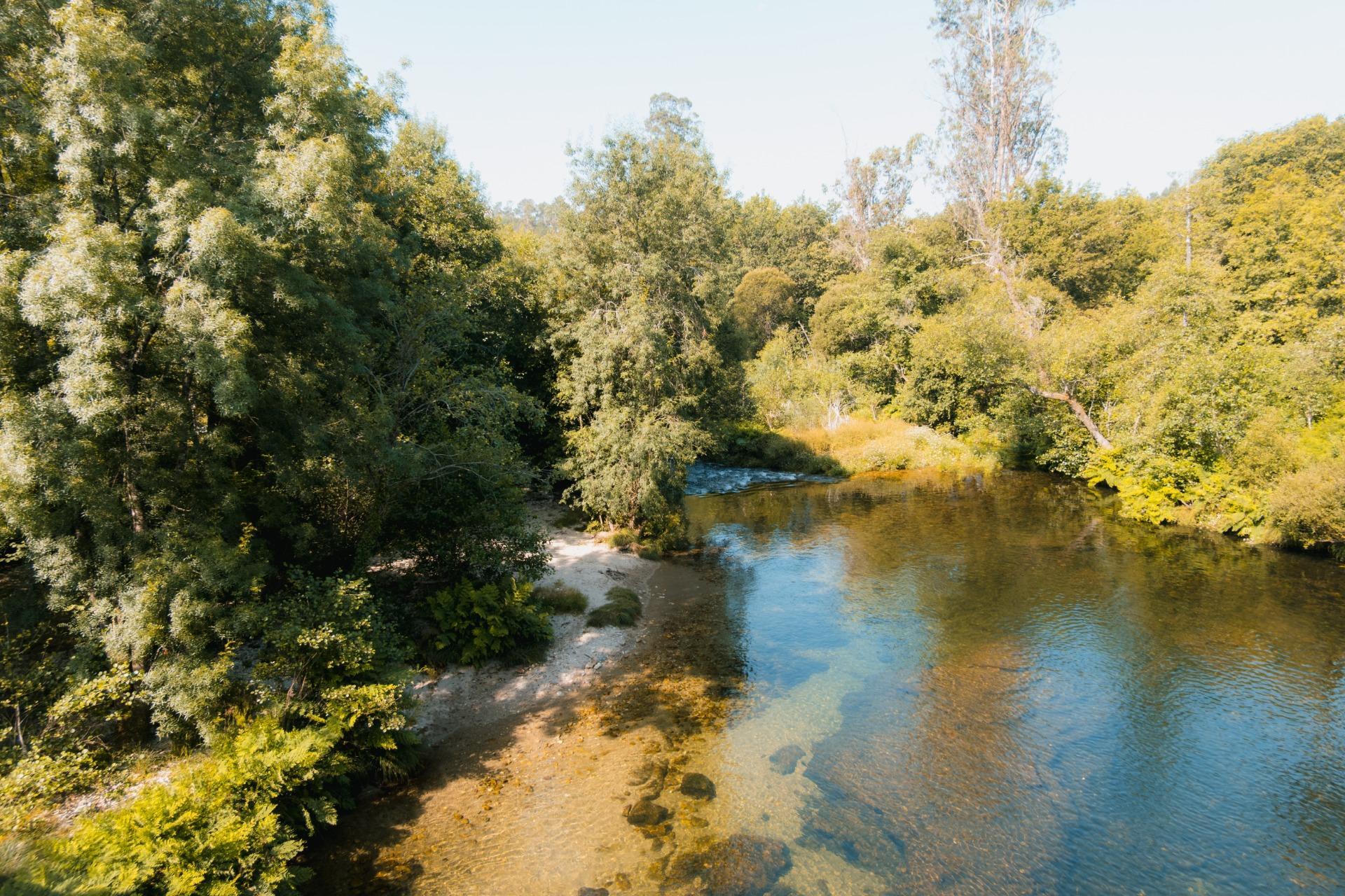 Casas o chalets-Venta-Mondariz-1865053-Foto-29