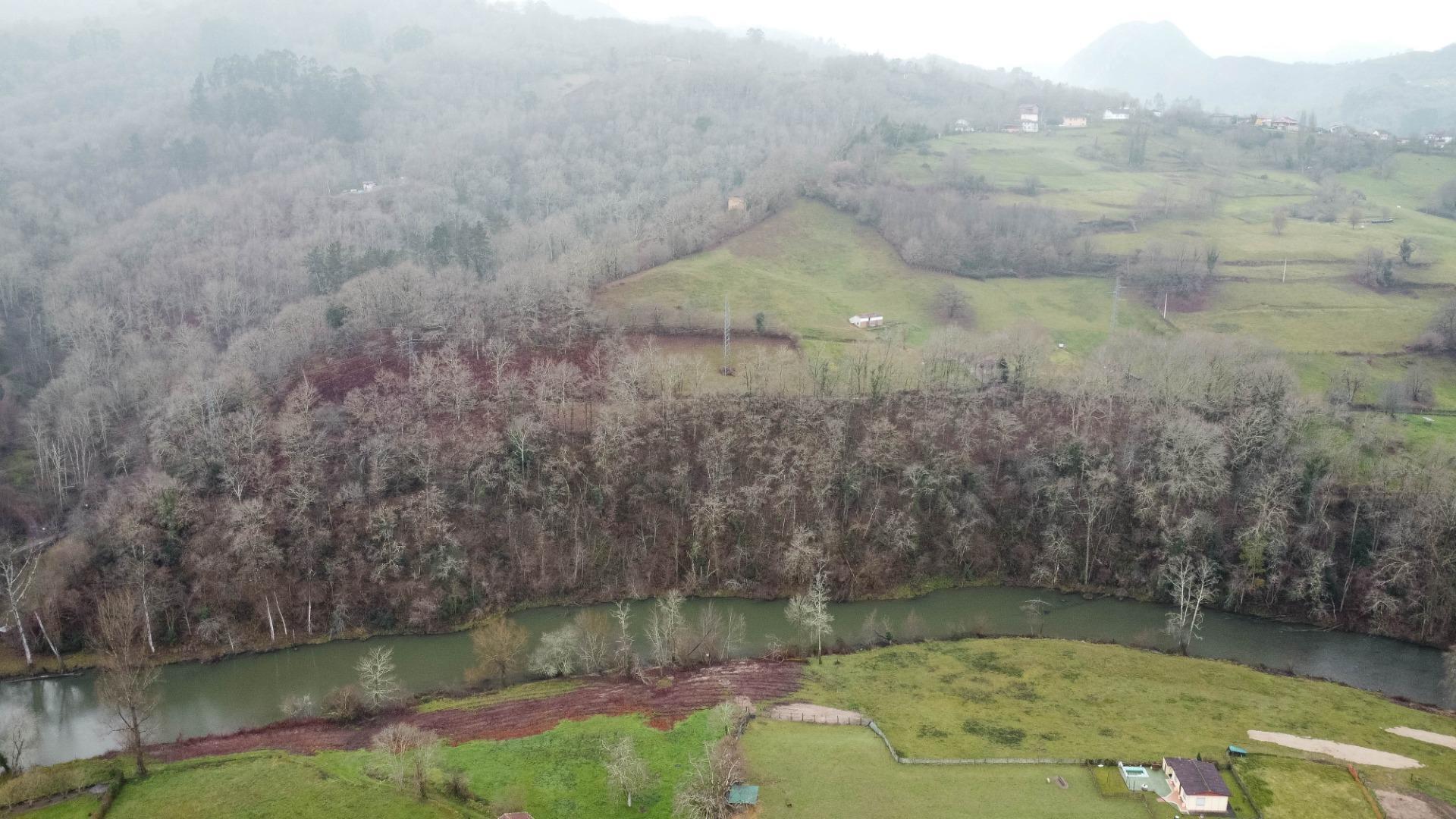 Casas o chalets-Venta-Parres-2041011-Foto-48