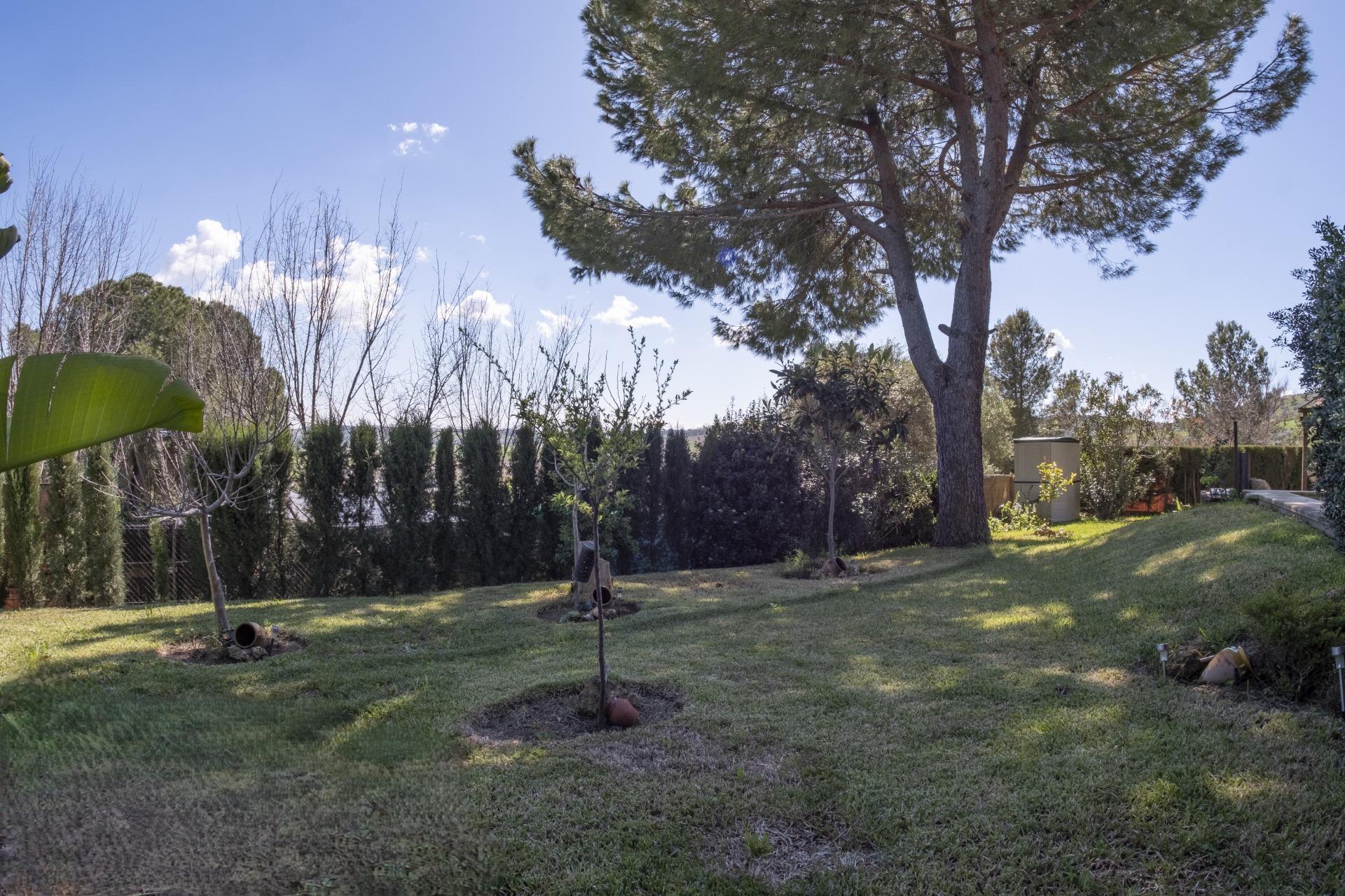 Casas o chalets-Venta-Salteras-1678708-Foto-51