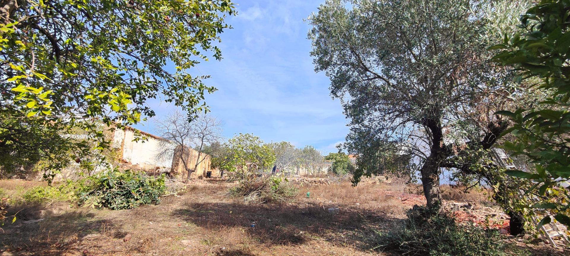 Casas o chalets-Venta-Villanueva de los Castillejos-2010998-Foto-67