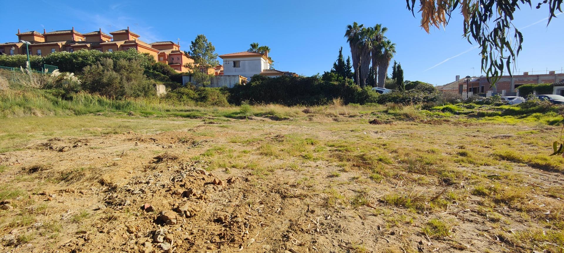 Fincas y solares-Venta-Lepe-1836851-Foto-12