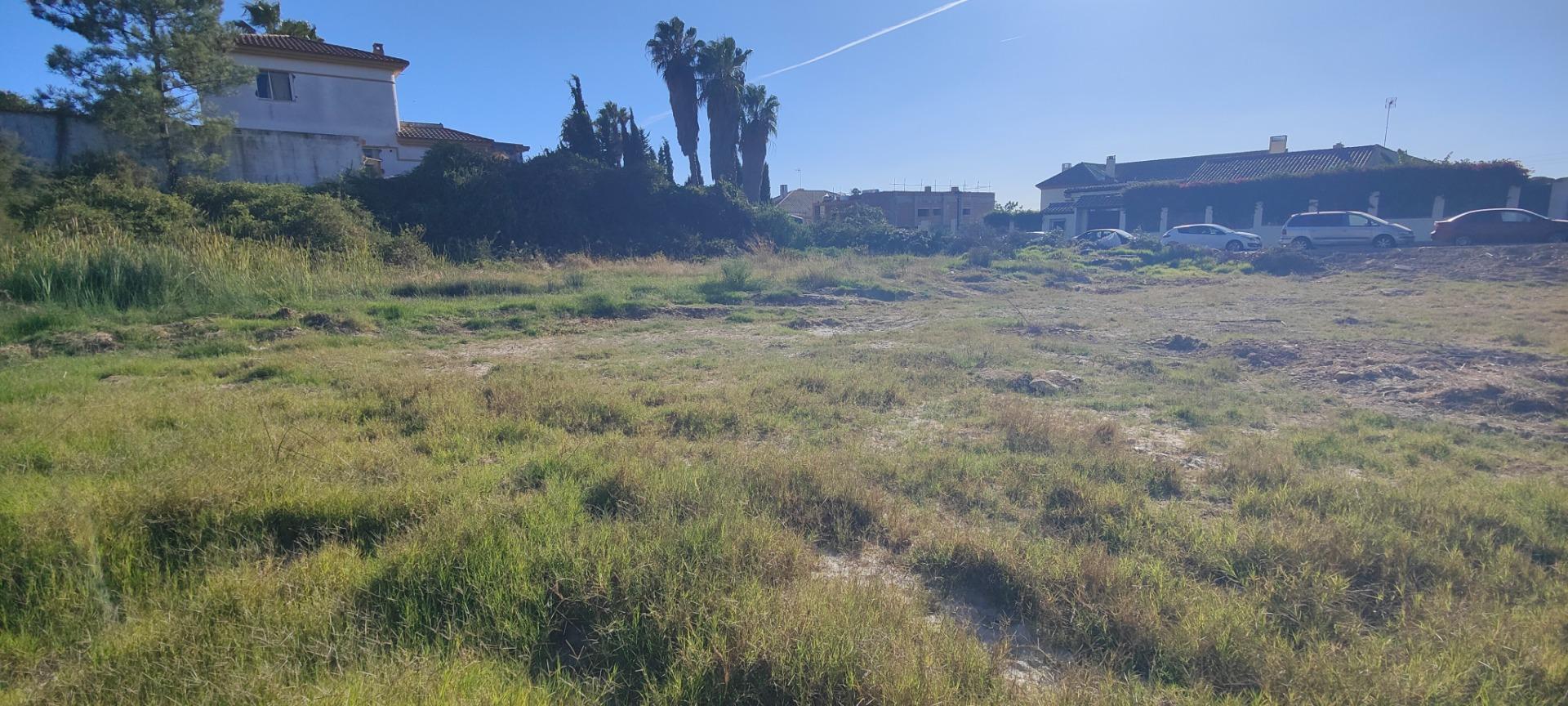 Fincas y solares-Venta-Lepe-1836851-Foto-15