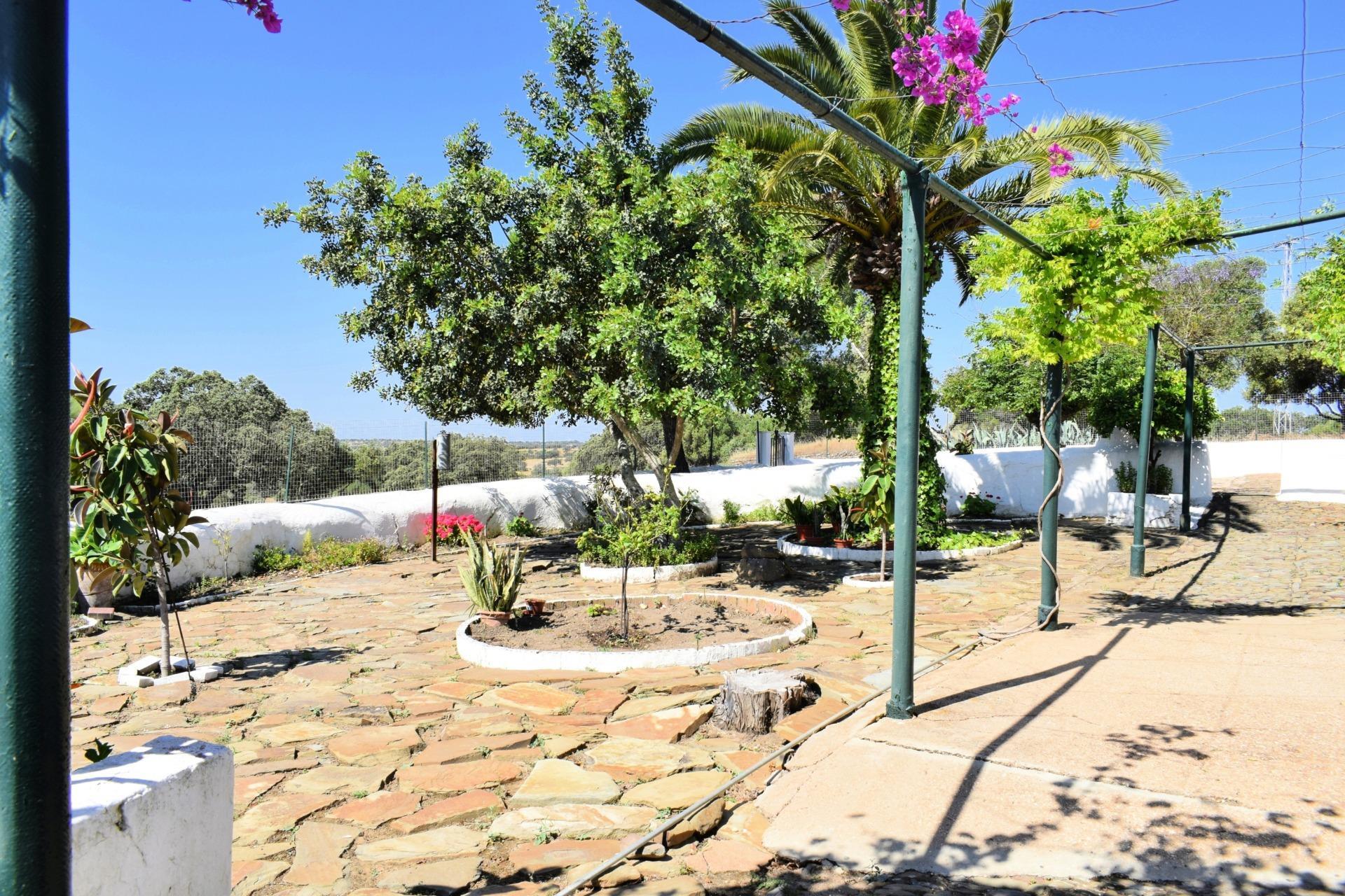 Pisos-Venta-Villanueva de los Castillejos-1731018-Foto-5