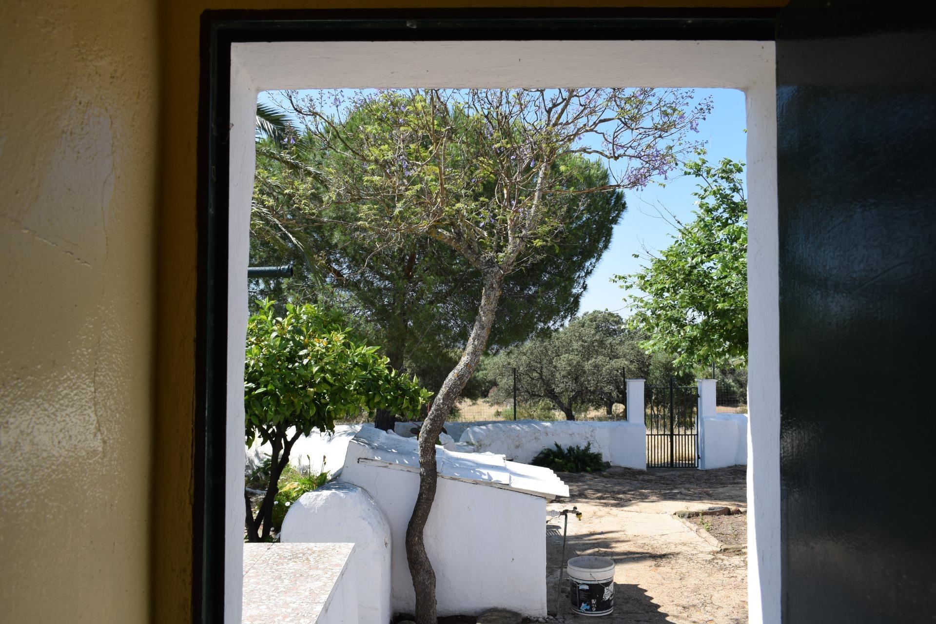 Pisos-Venta-Villanueva de los Castillejos-1731018-Foto-27