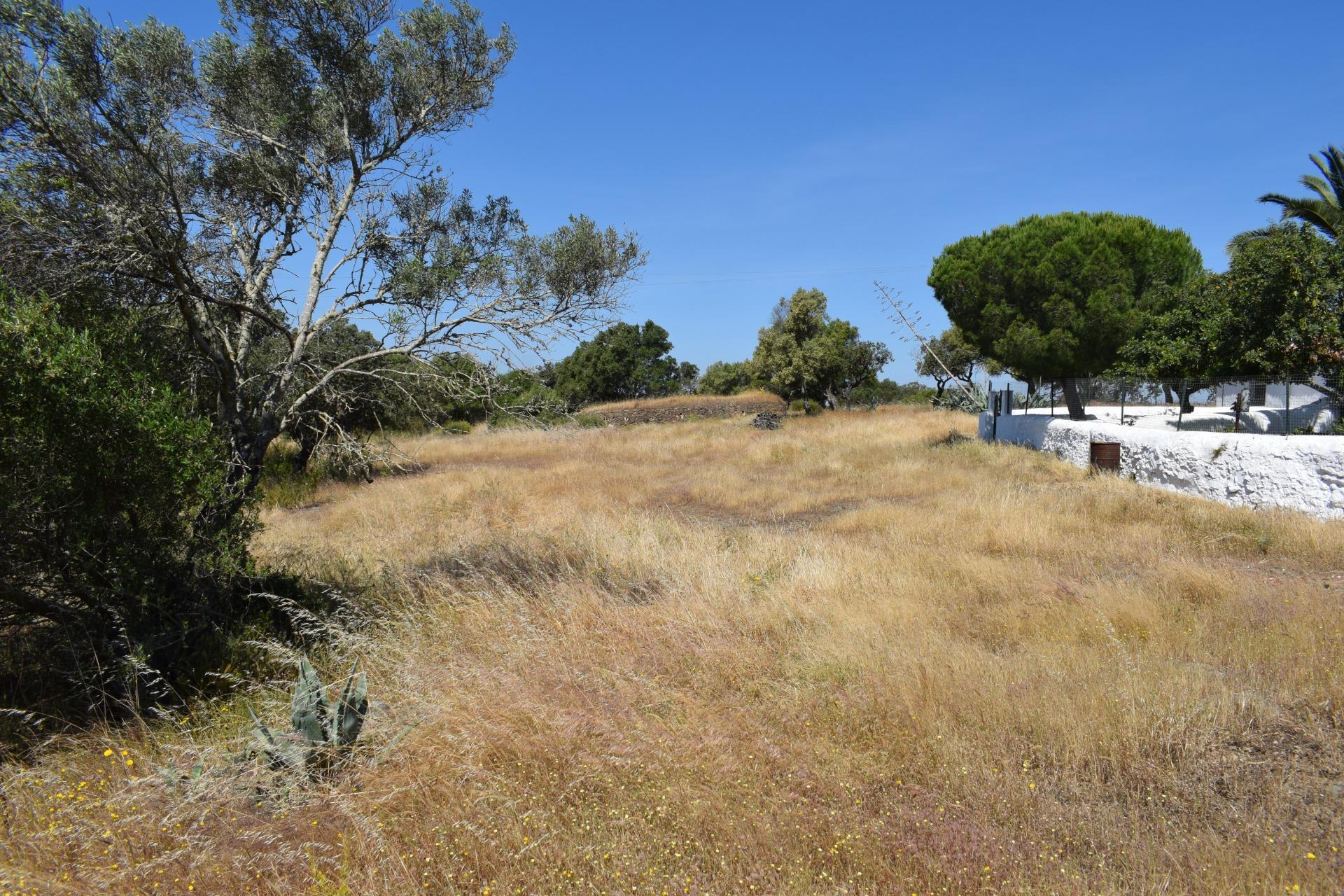 Pisos-Venta-Villanueva de los Castillejos-1731018-Foto-73