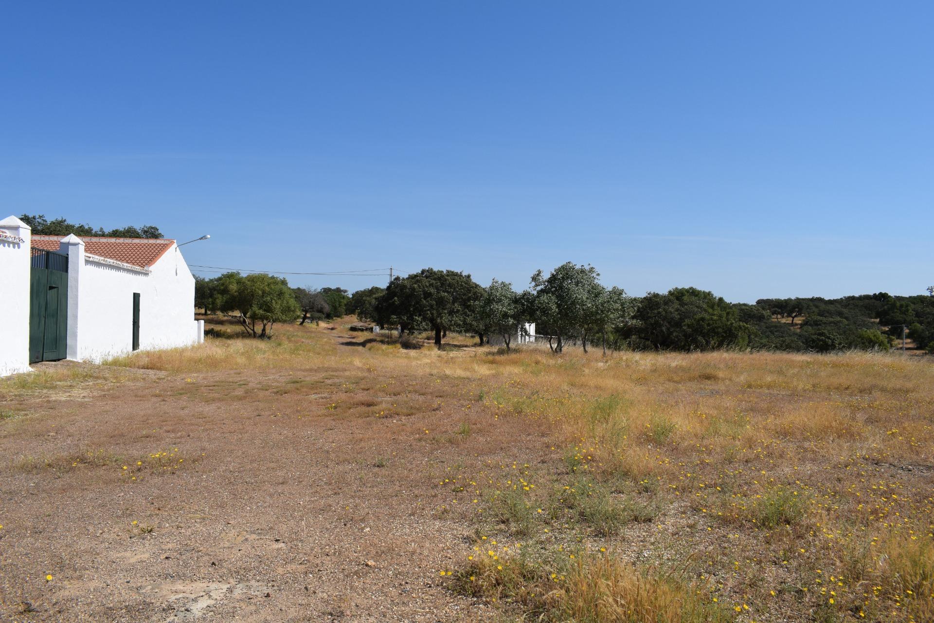 Pisos-Venta-Villanueva de los Castillejos-1731018-Foto-75