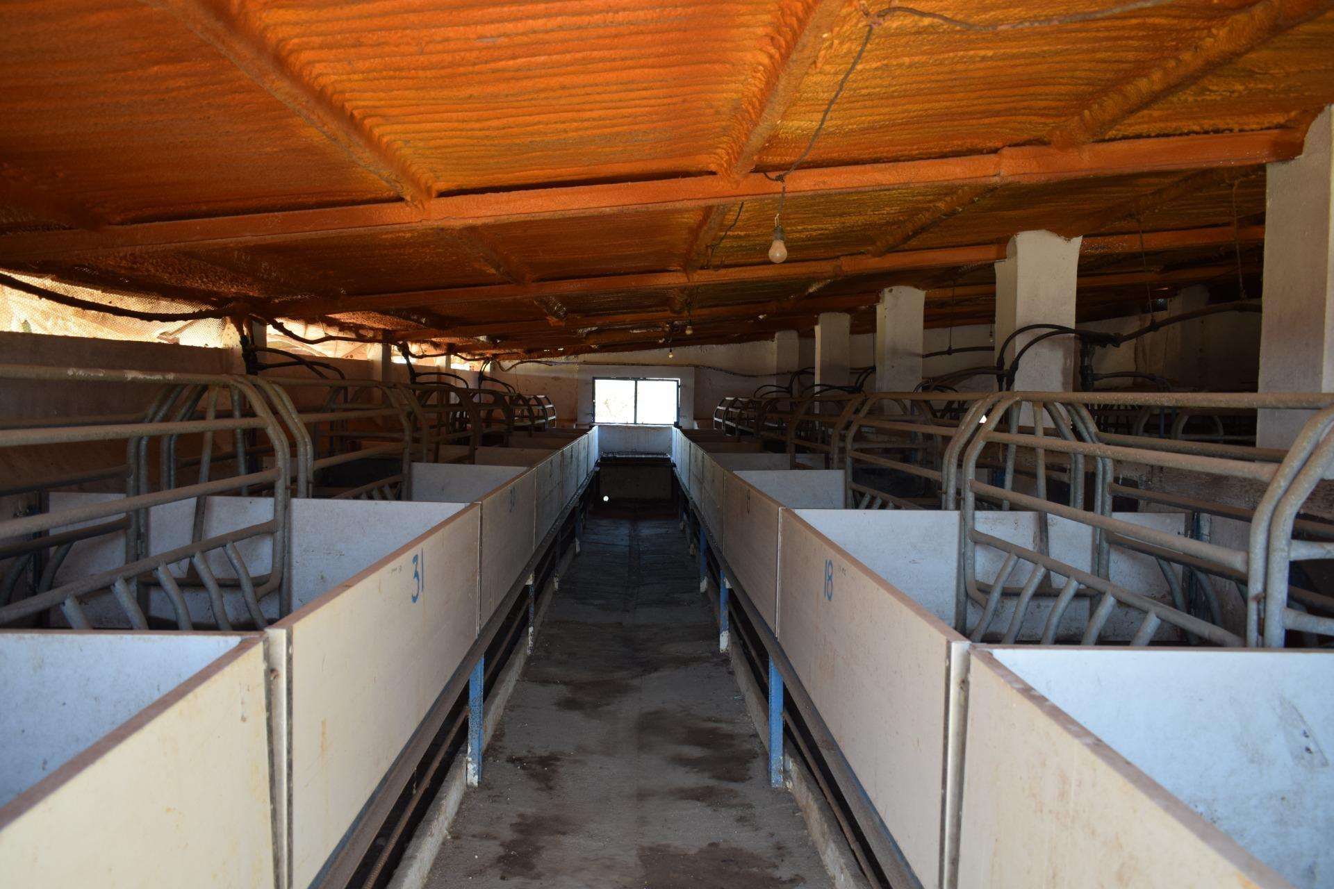 Pisos-Venta-Villanueva de los Castillejos-1731018-Foto-78