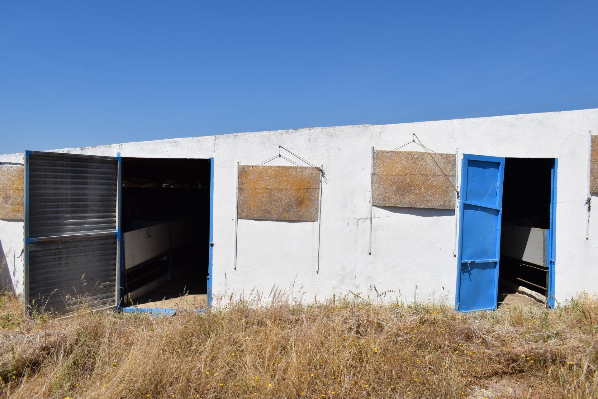 Pisos-Venta-Villanueva de los Castillejos-1731018-Foto-77