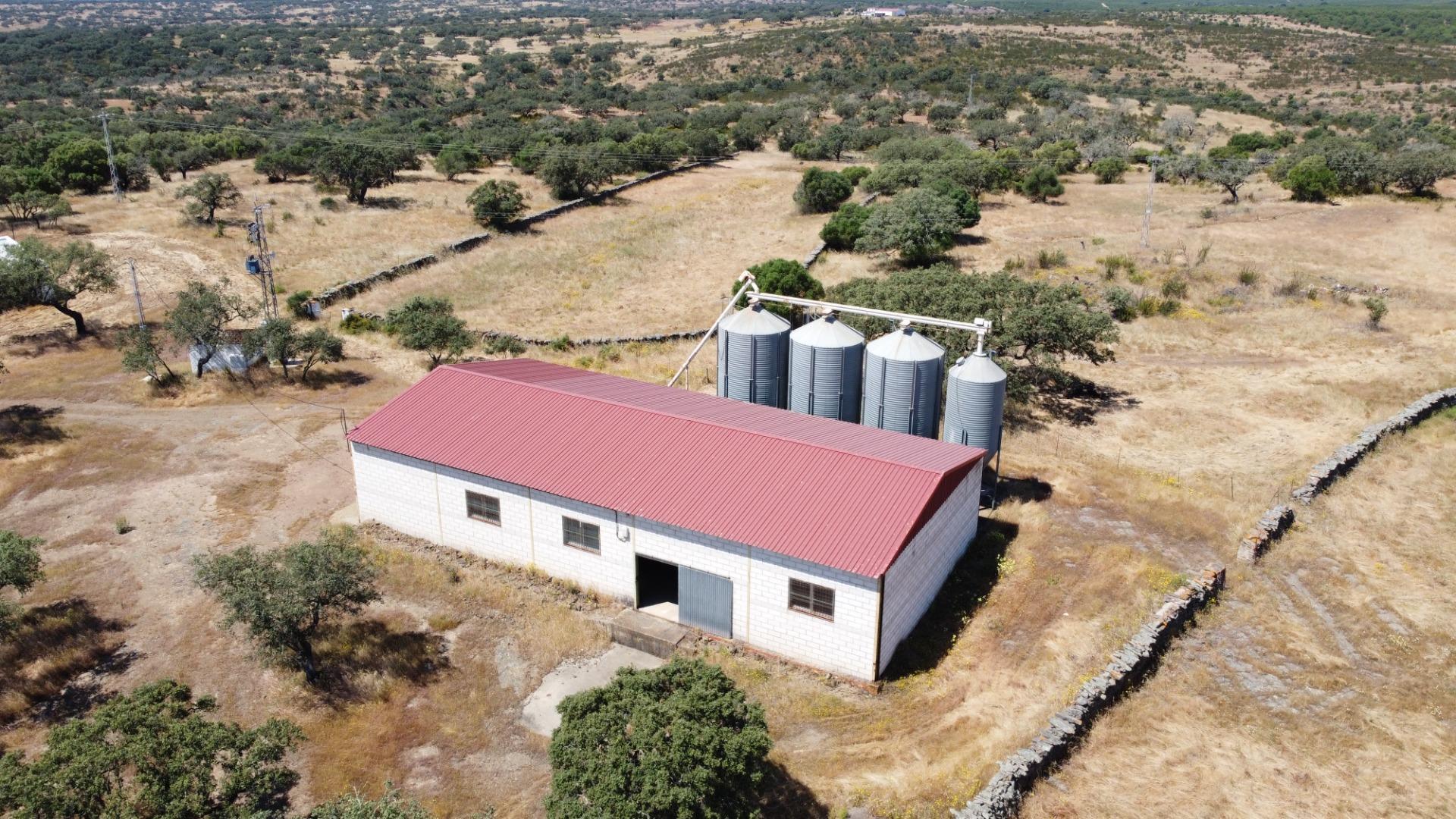 Pisos-Venta-Villanueva de los Castillejos-1731018-Foto-88