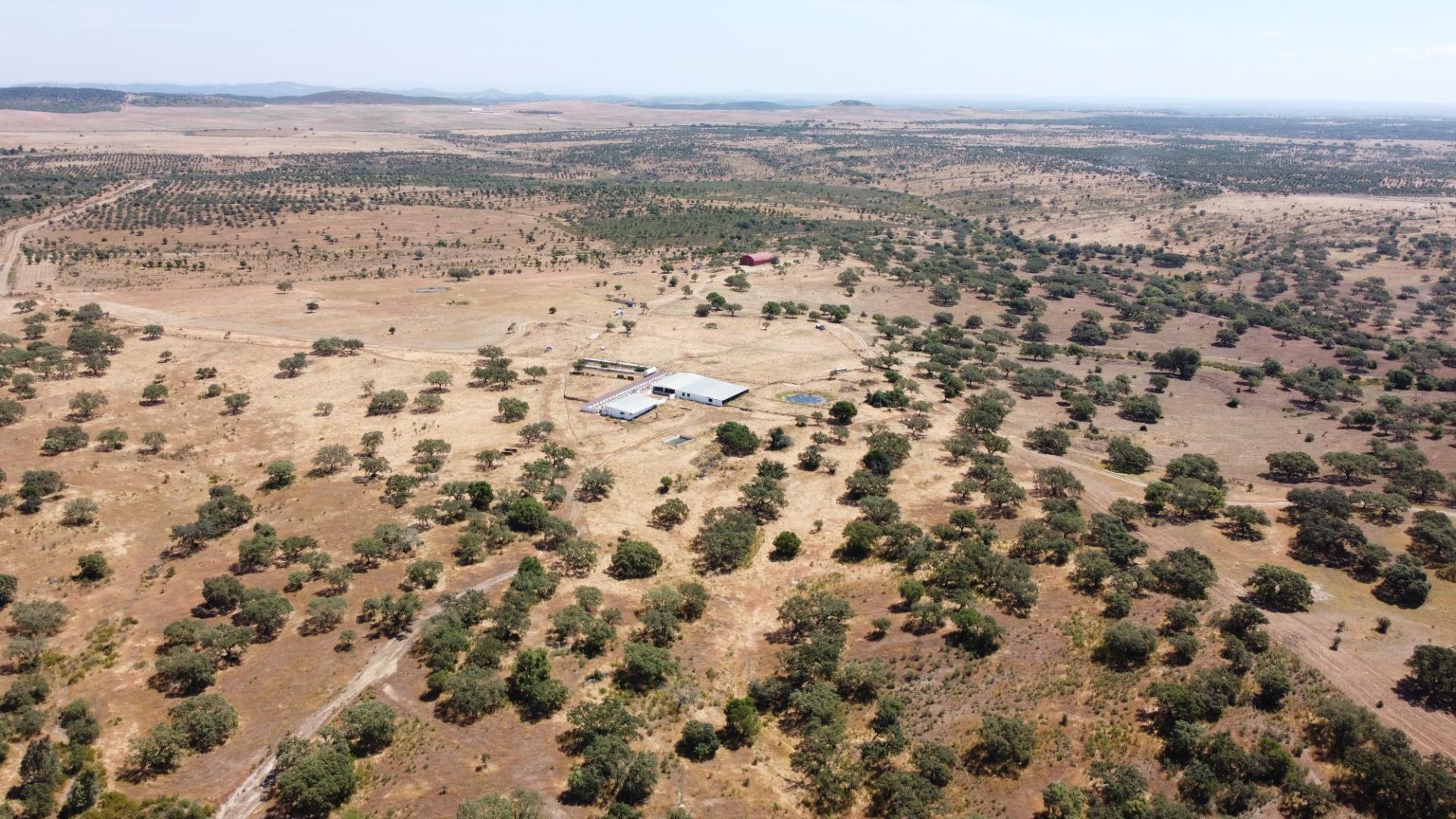 Pisos-Venta-Villanueva de los Castillejos-1731018-Foto-90